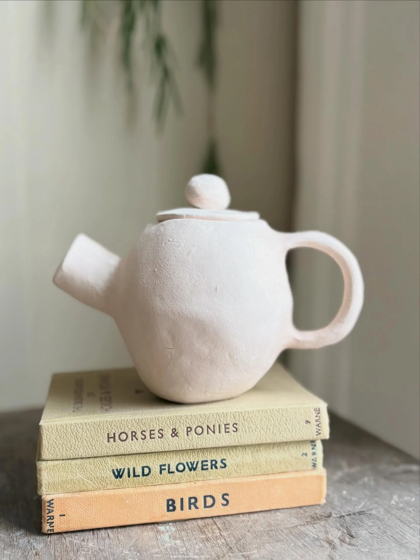 Now the teapot is bisque fired. Next stop glazing. 

Let me know if you would like to come and make a teapot with me. There are spaces on my Pinch pot workshop - link in bio. 

#amandabanhamceramics #ceramics #potteryworkshops #thingstodoinsaffronwal