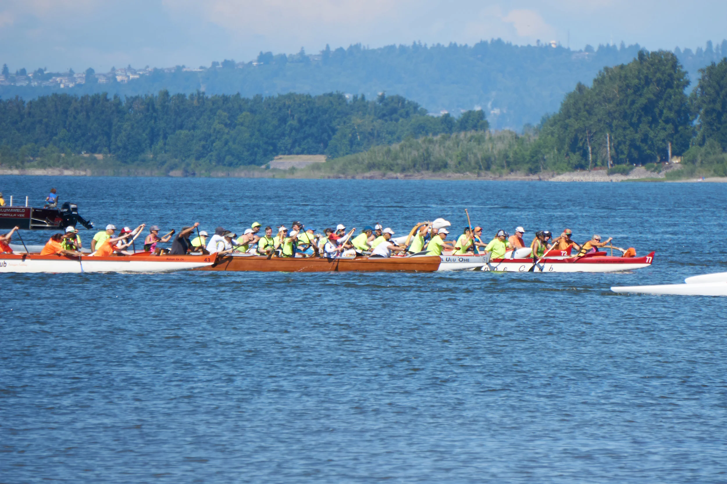 DSC03067.jpg