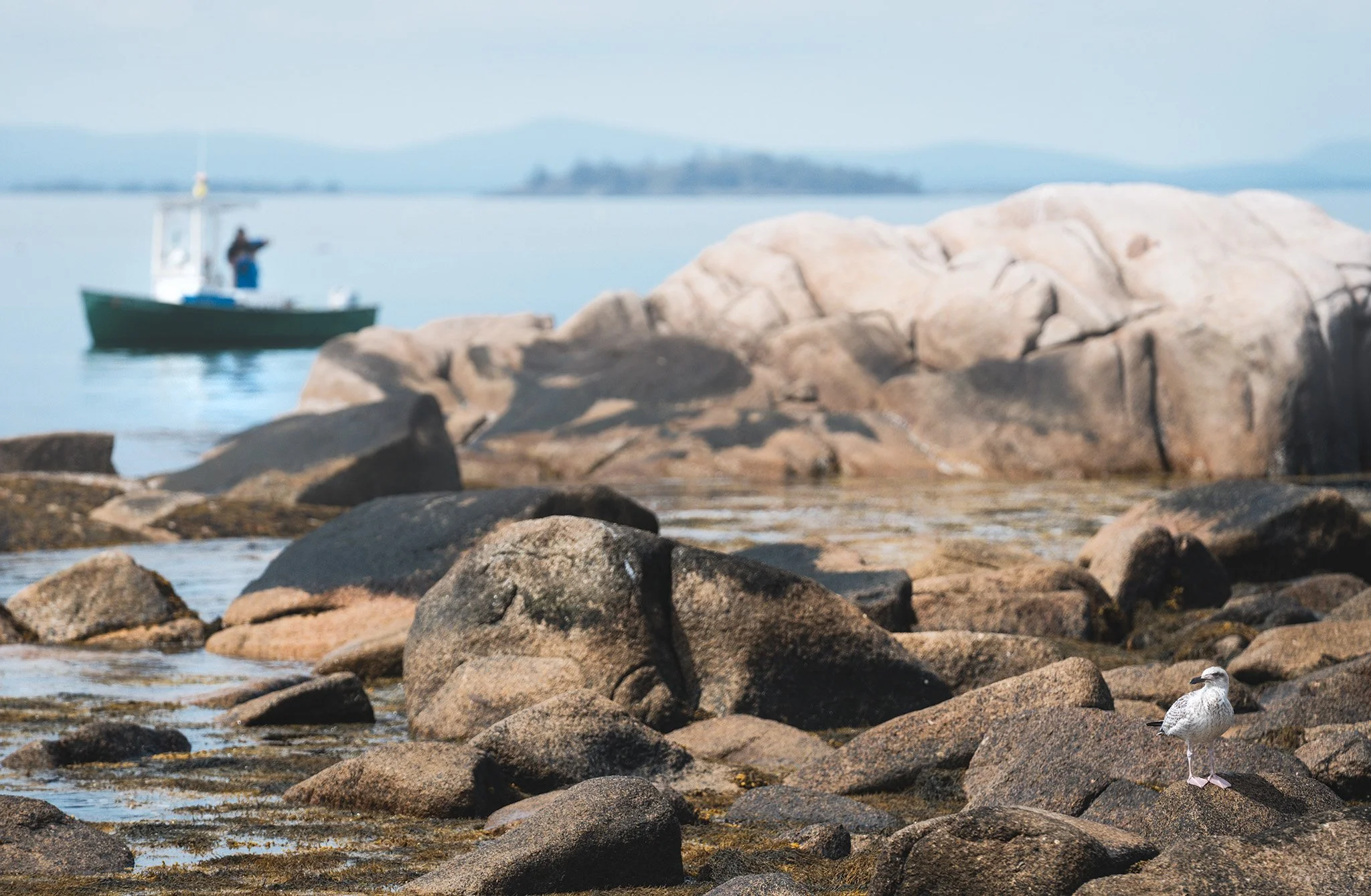 Deer Isle