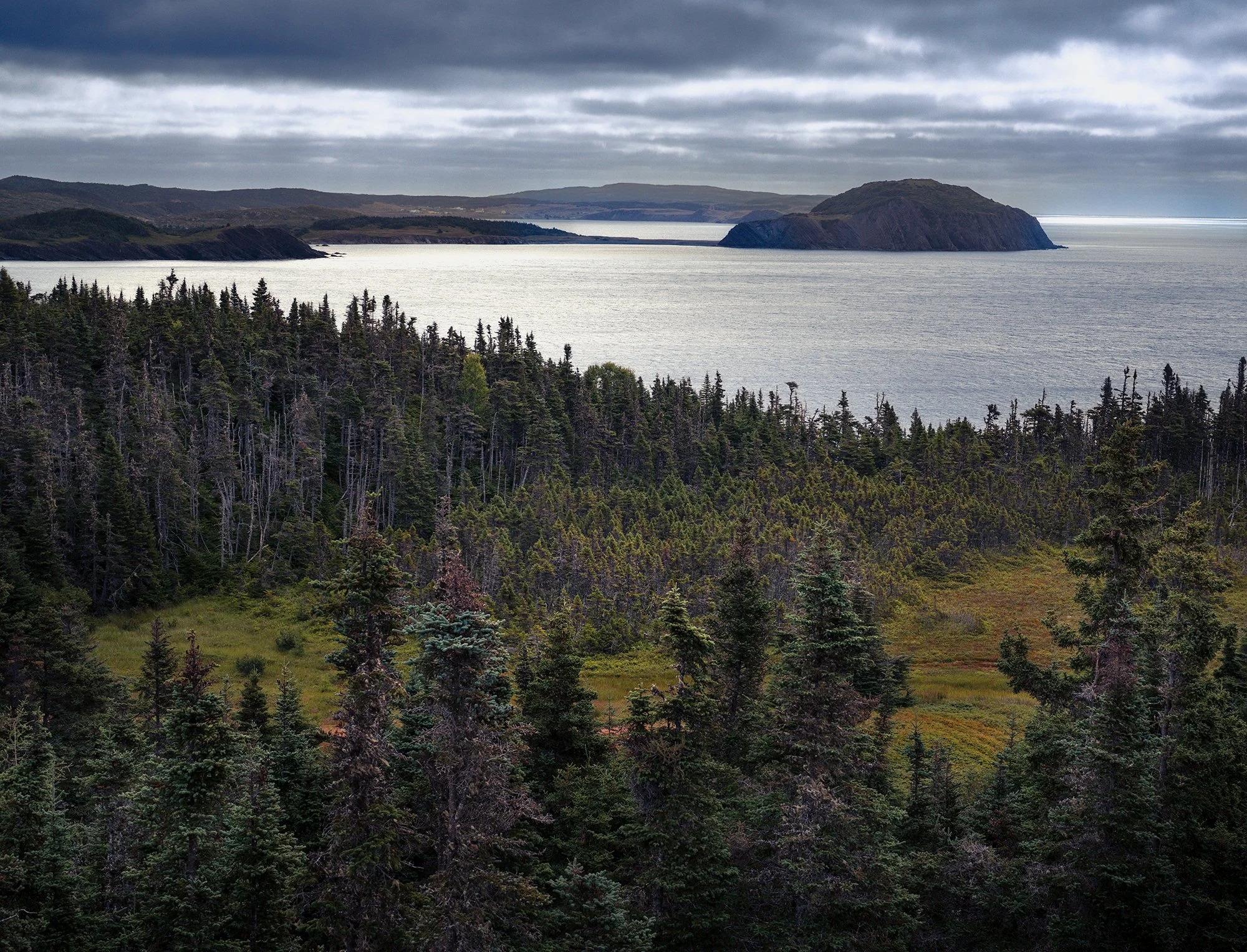 Newfoundland Aug 2025.jpg