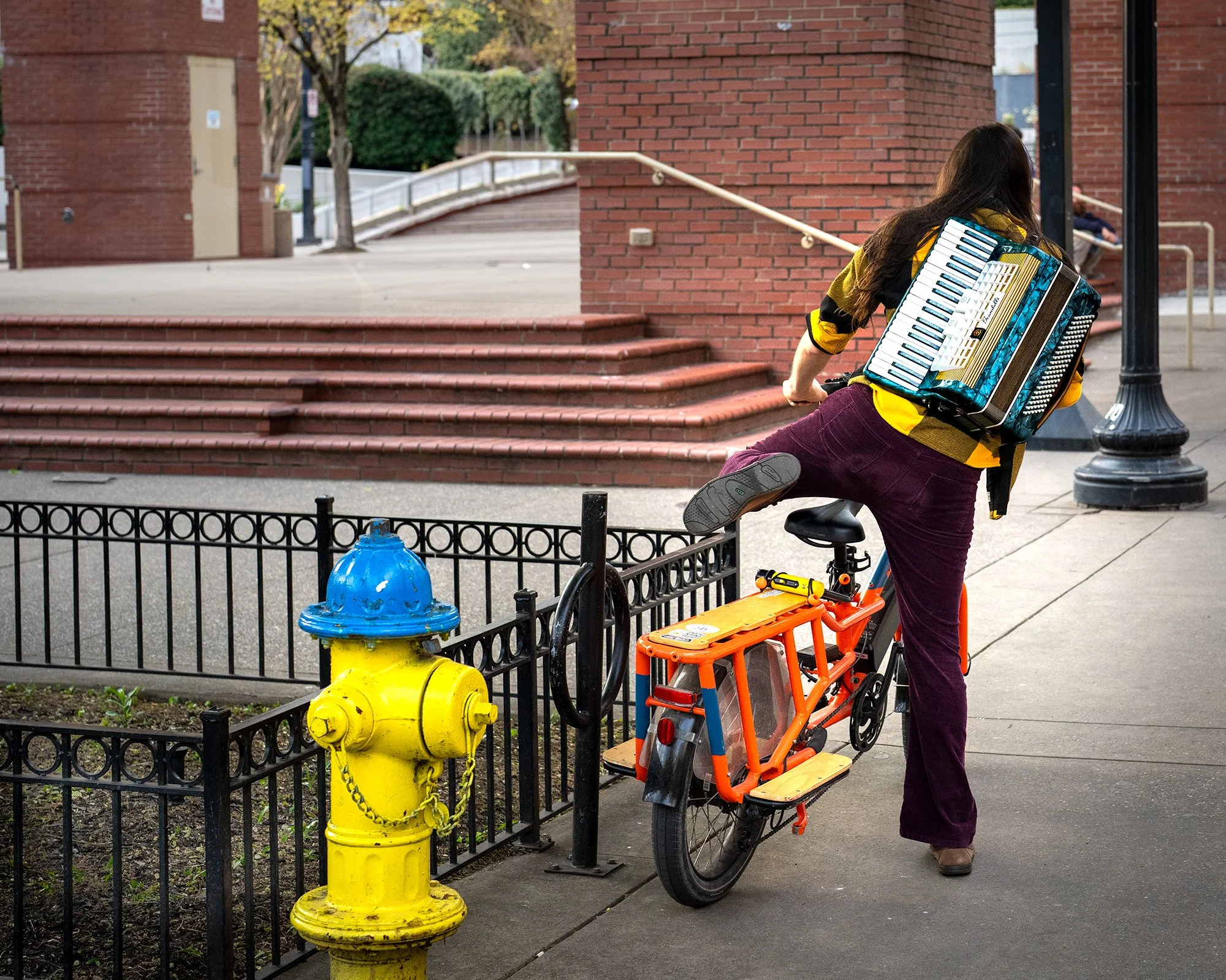 Big Ears accordion2.jpg