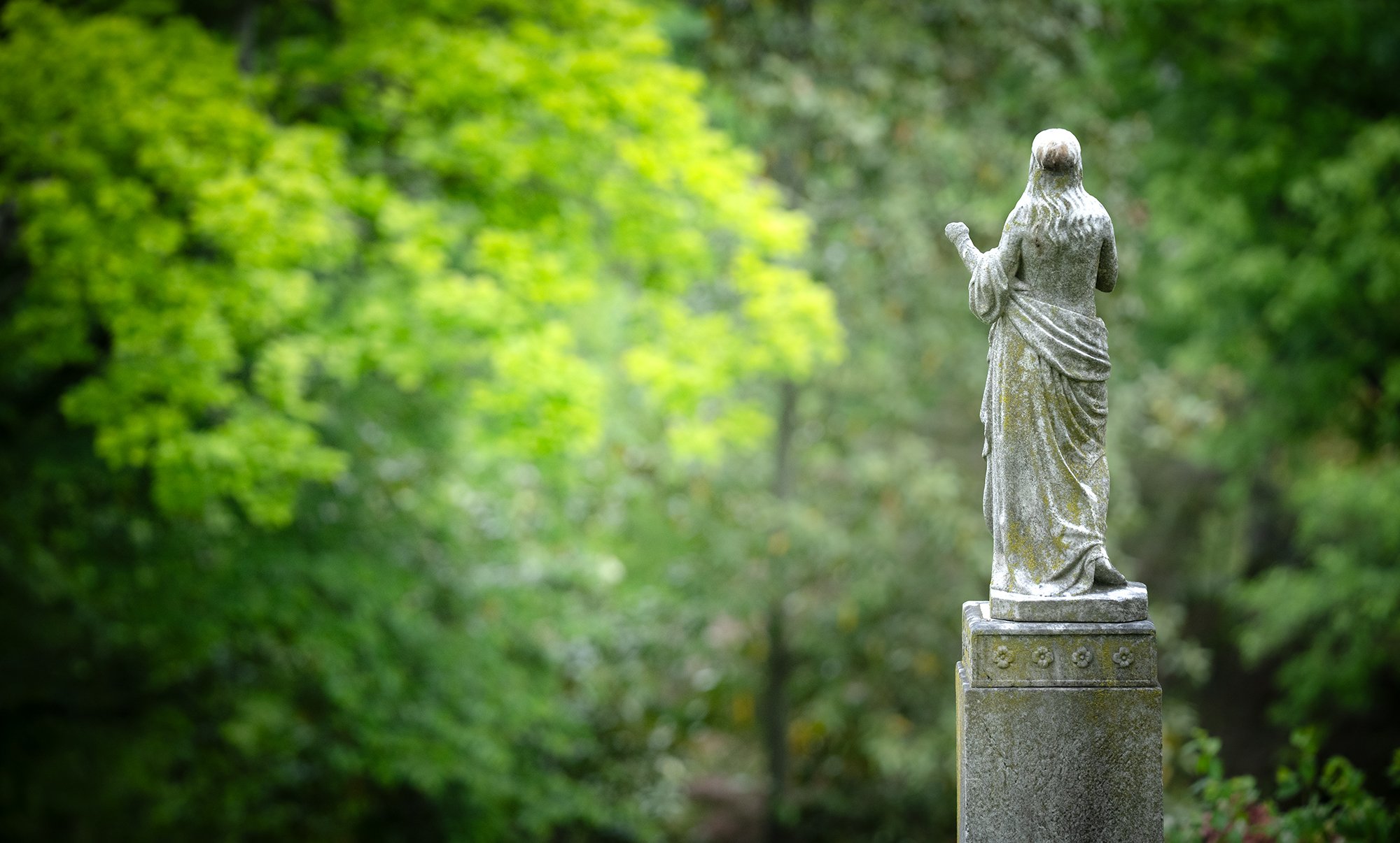 Oak Hill back statue.jpg