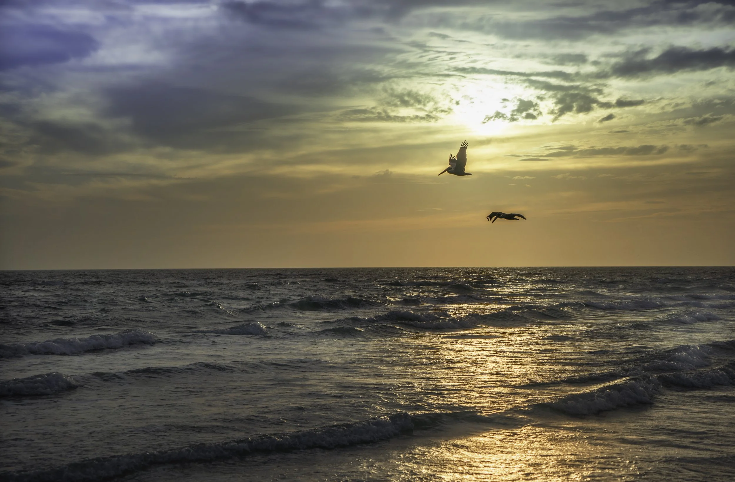 Two birds flying over an ocean at sunset with cloudy skies.