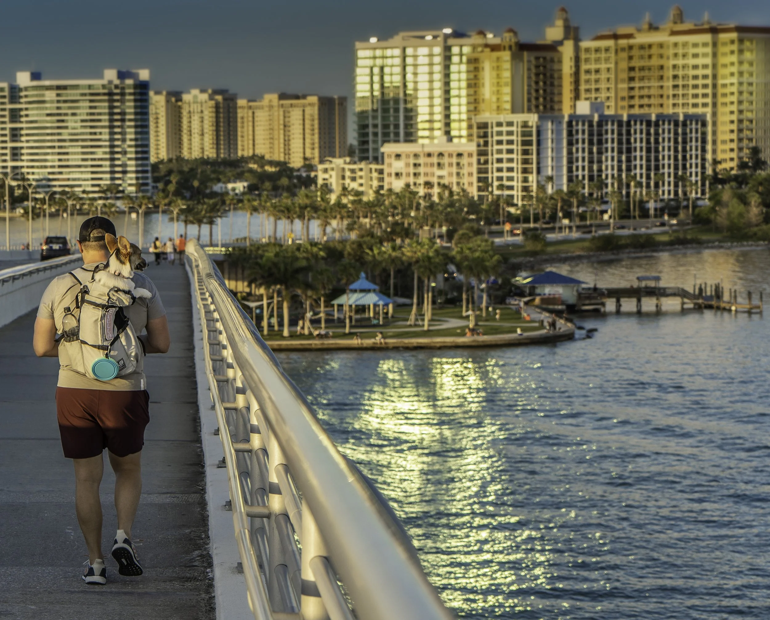 Person walking on a bridge with a dog in a backpack, overlooking an urban waterfront with high-rise buildings and a park.