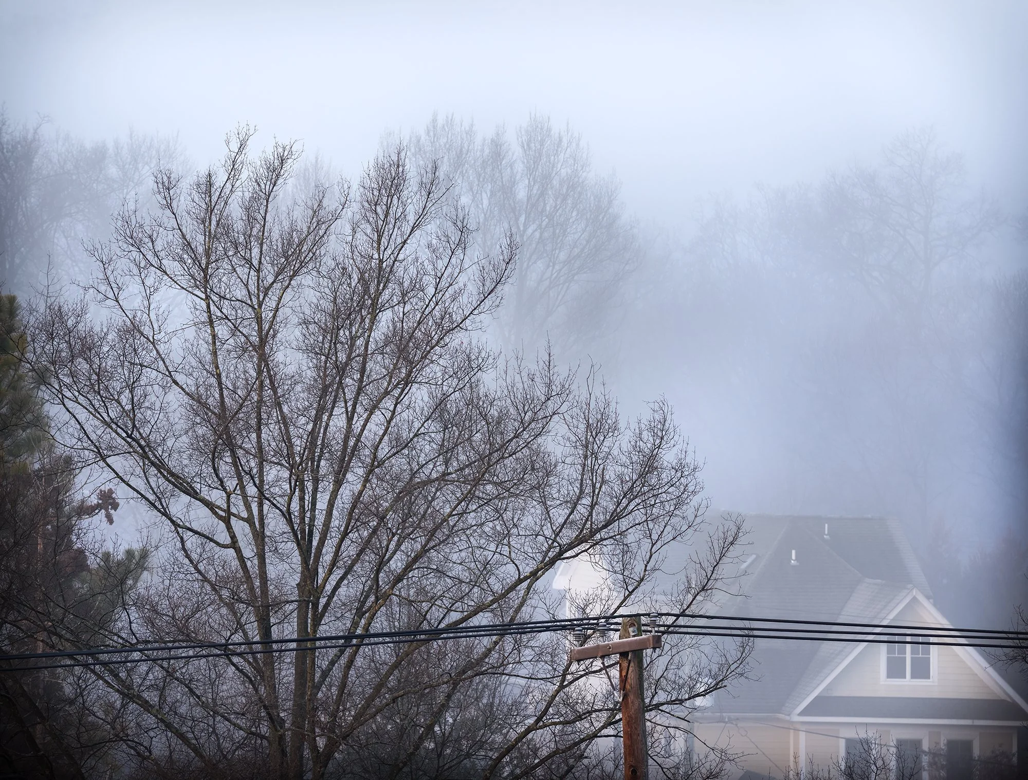 Palisades house fog.jpg