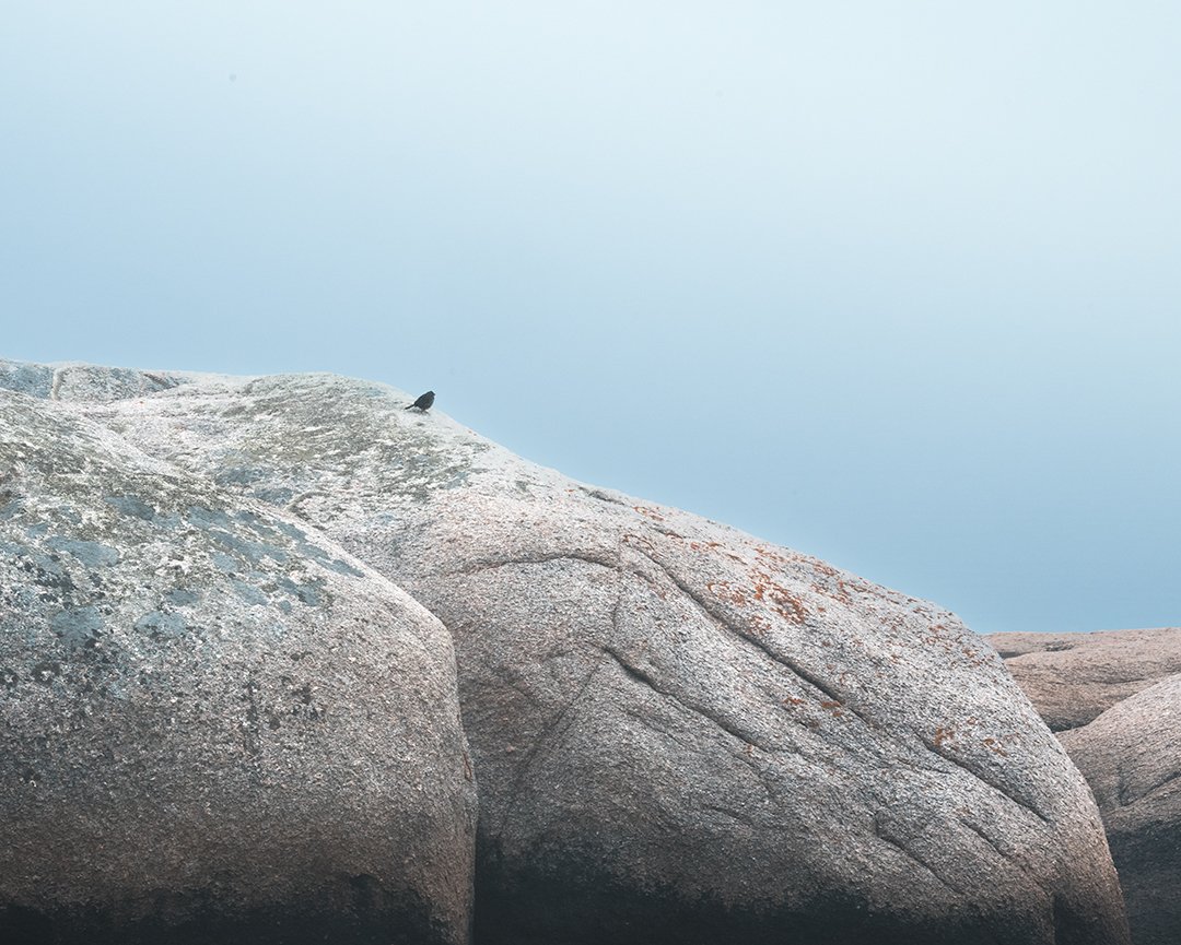 Sand Beach fog