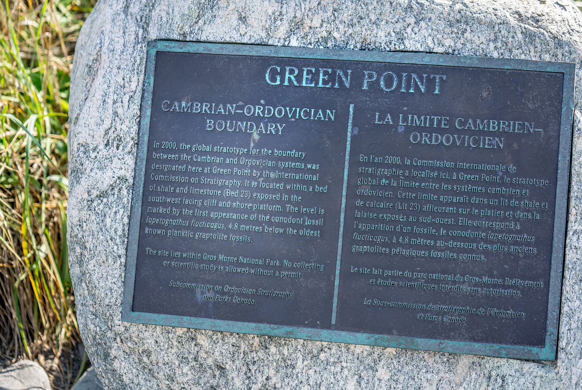 Green Point2.jpg
