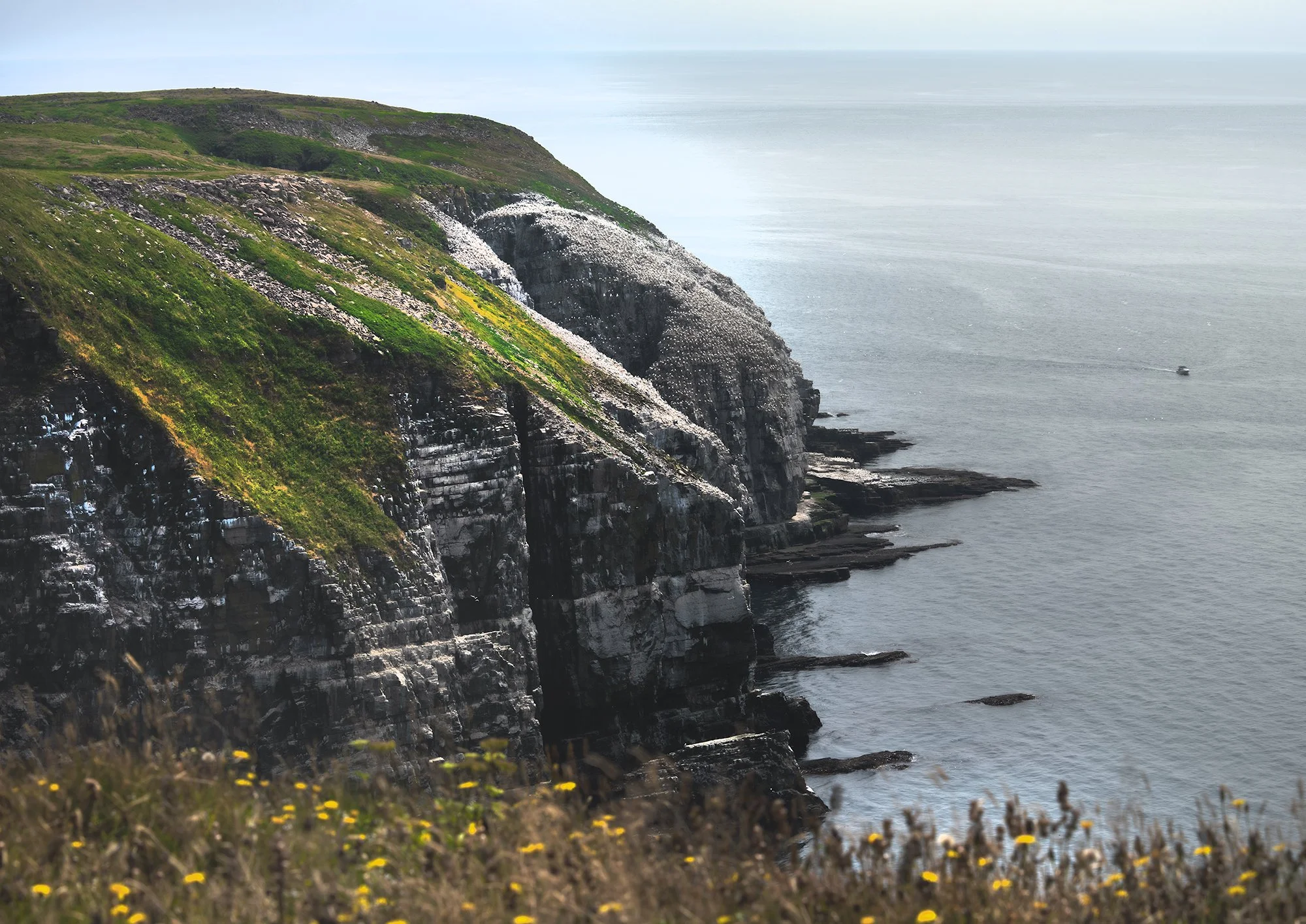 St Mary's wide shot cliffs.jpg