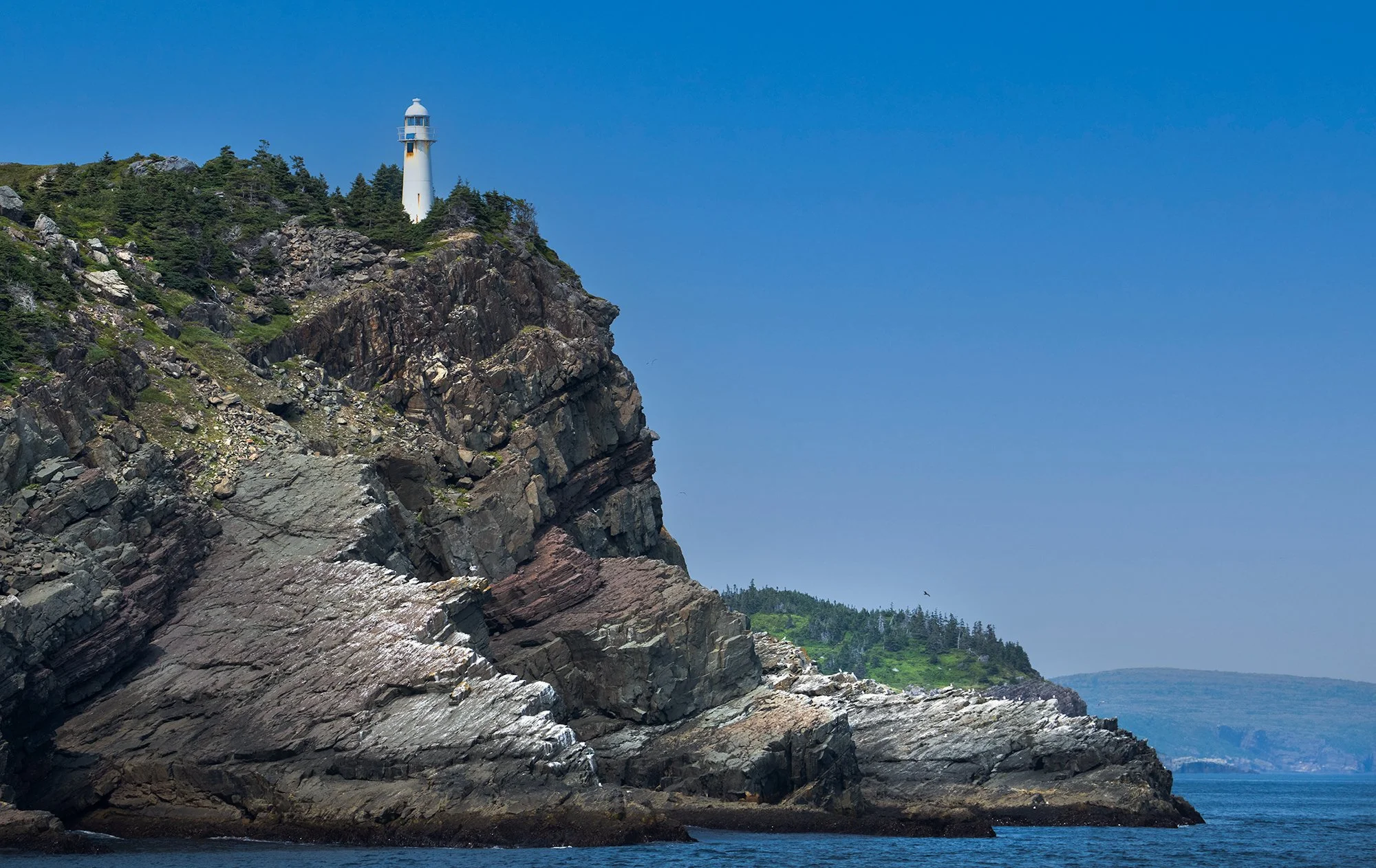 Witless Bay.jpg