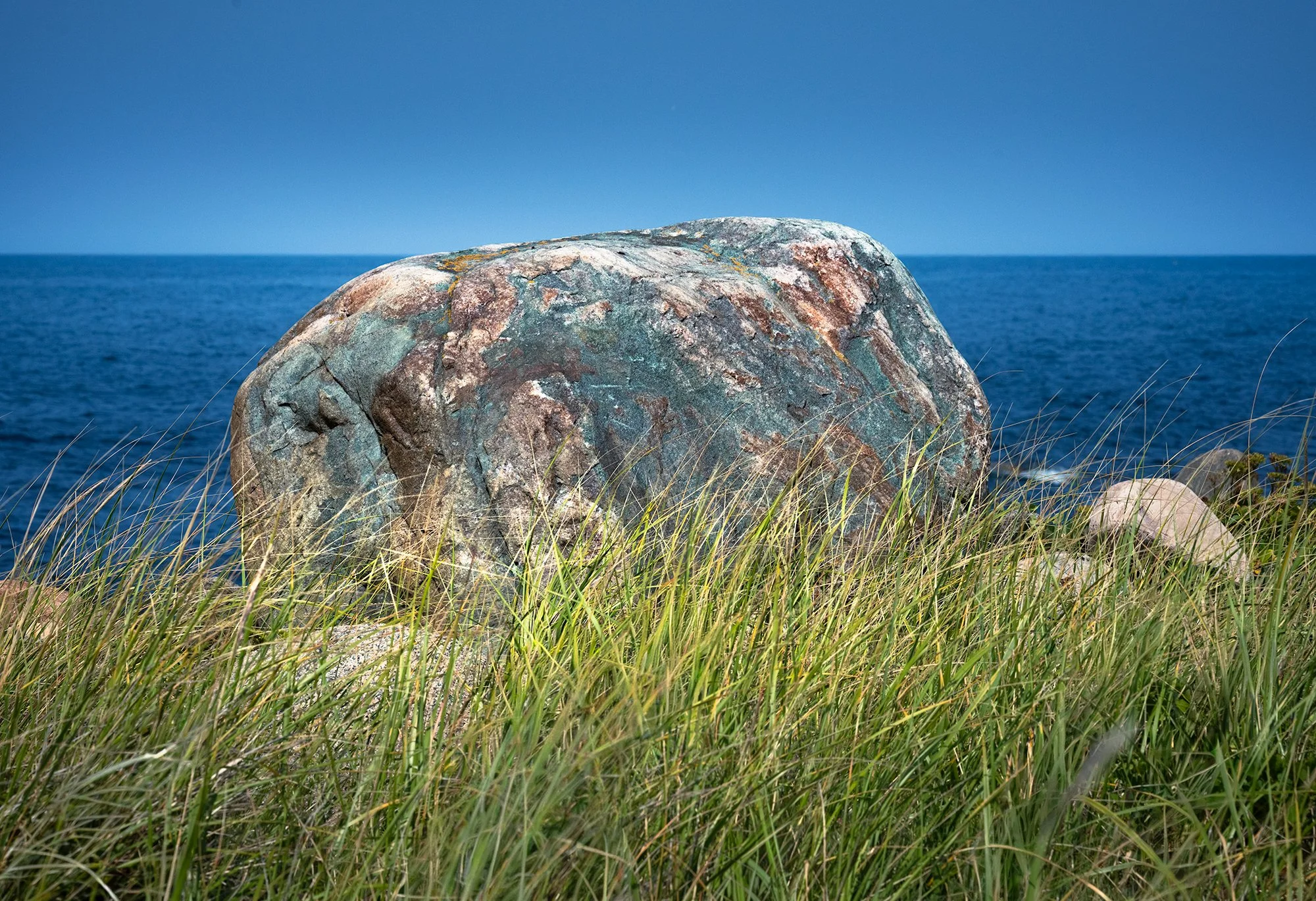 Coastal Trail