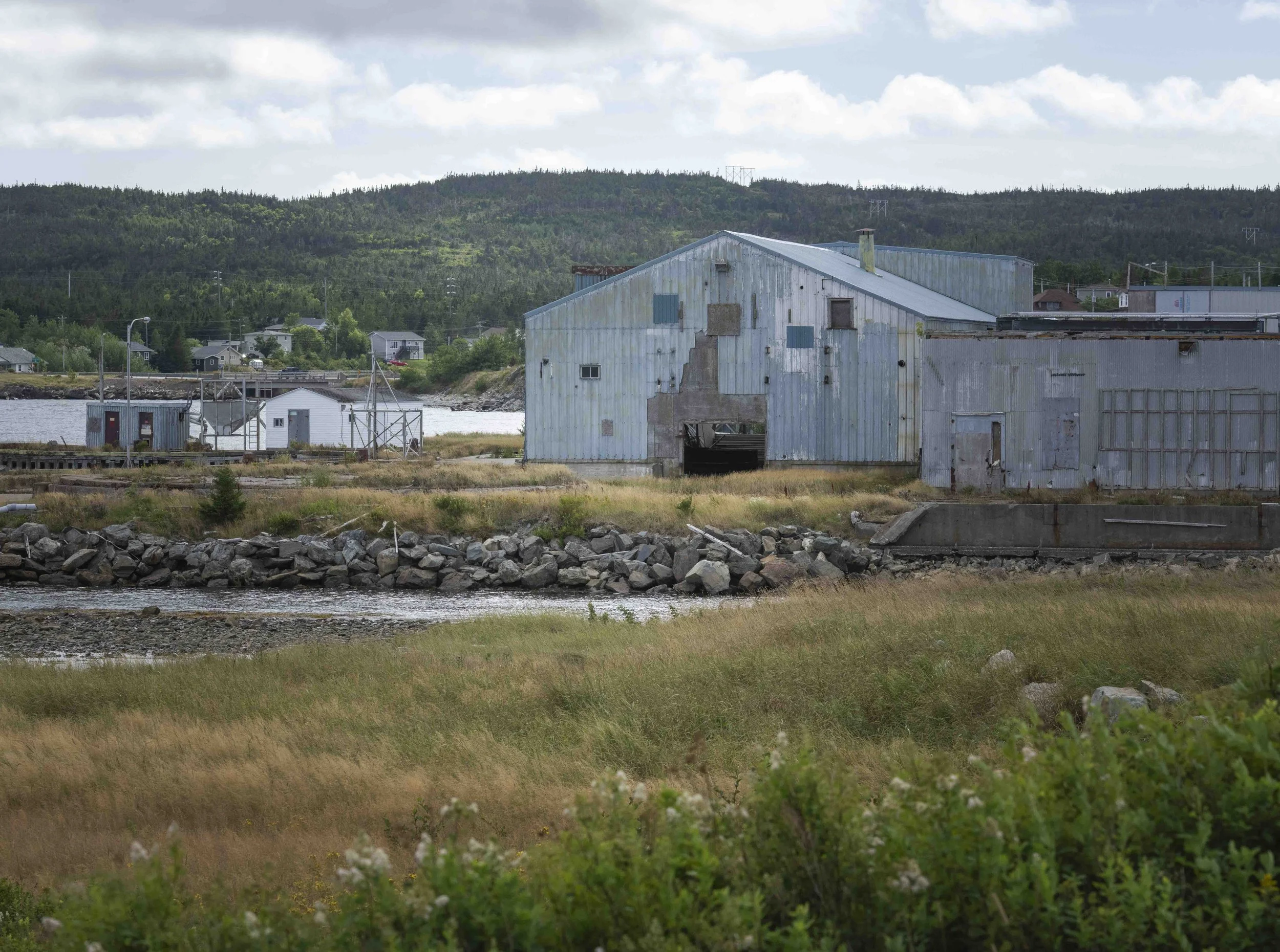 Bonavista-8.jpg