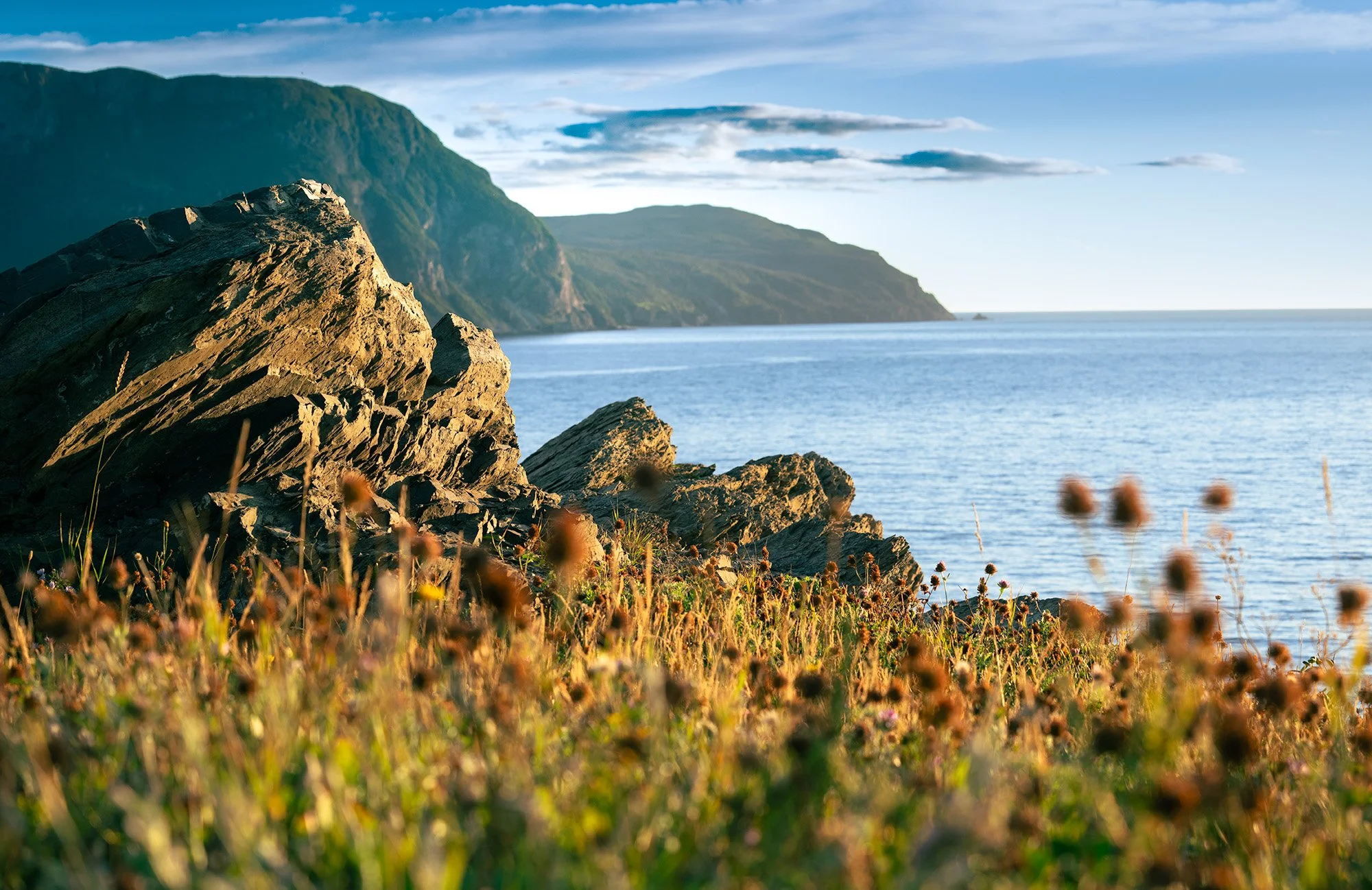 Rocky Harbour coast.jpg