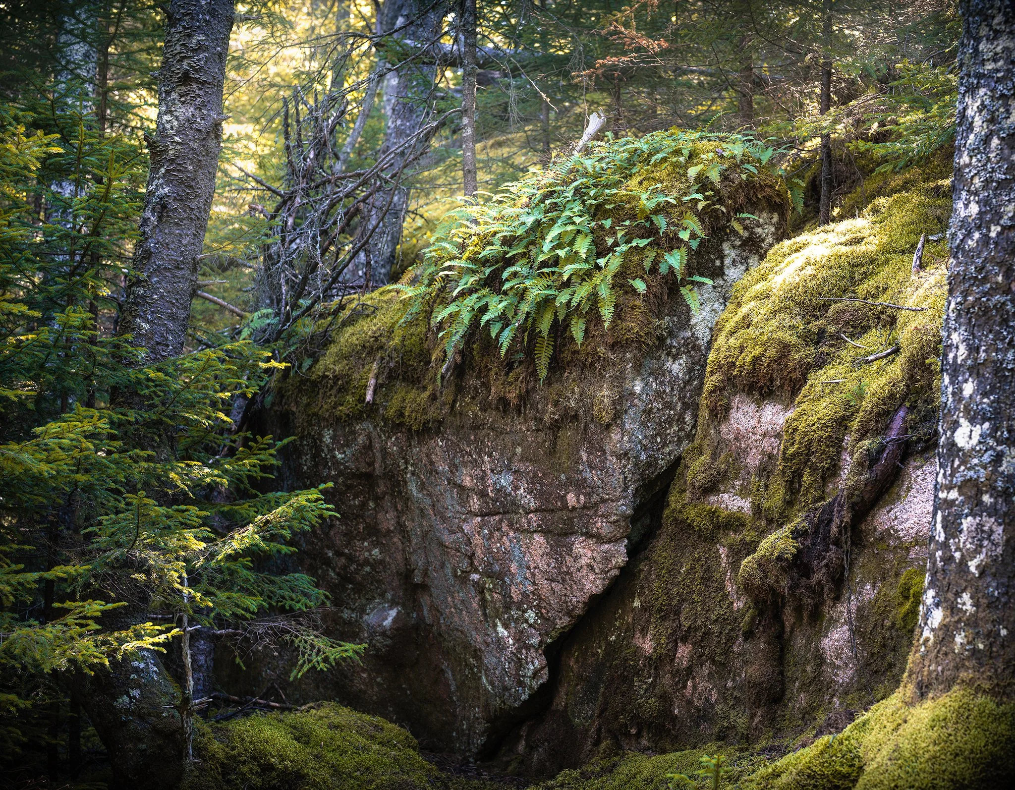 moss rocks FB.jpg