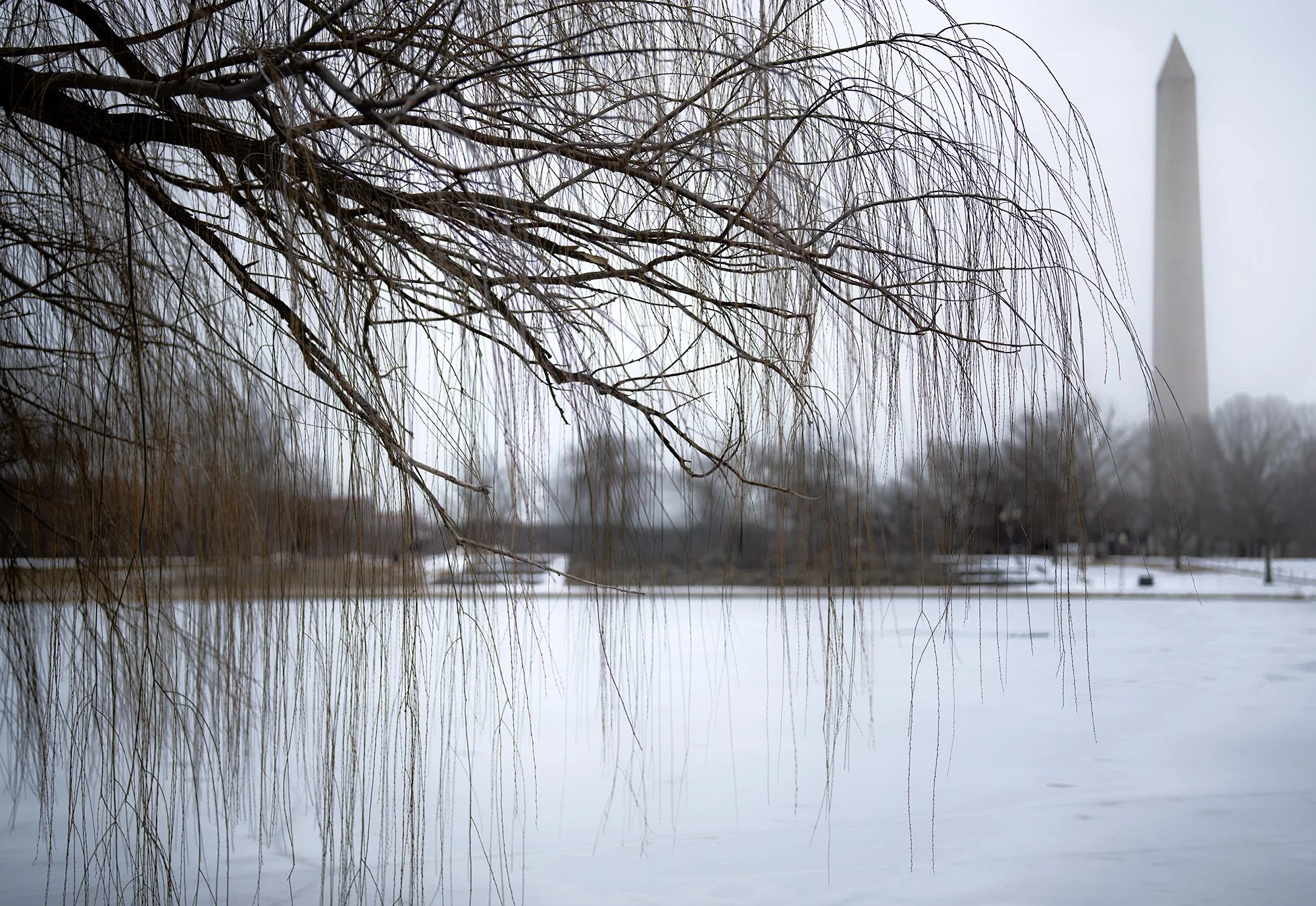 Dc winter.jpg
