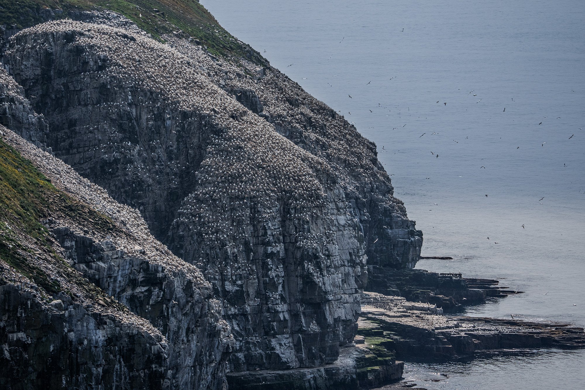 St Mary's cliff.jpg