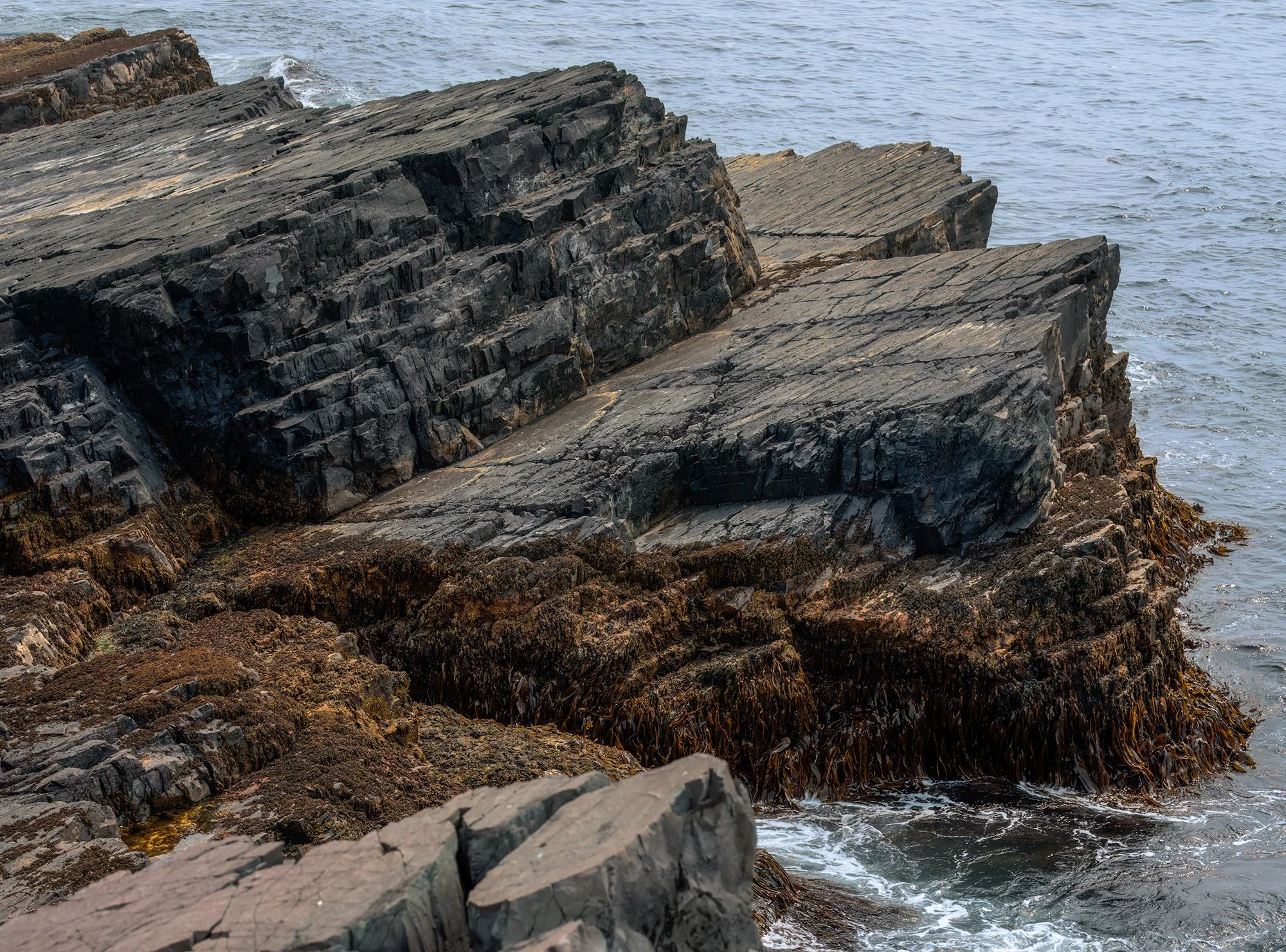Mistaken Point diagonals2.jpg