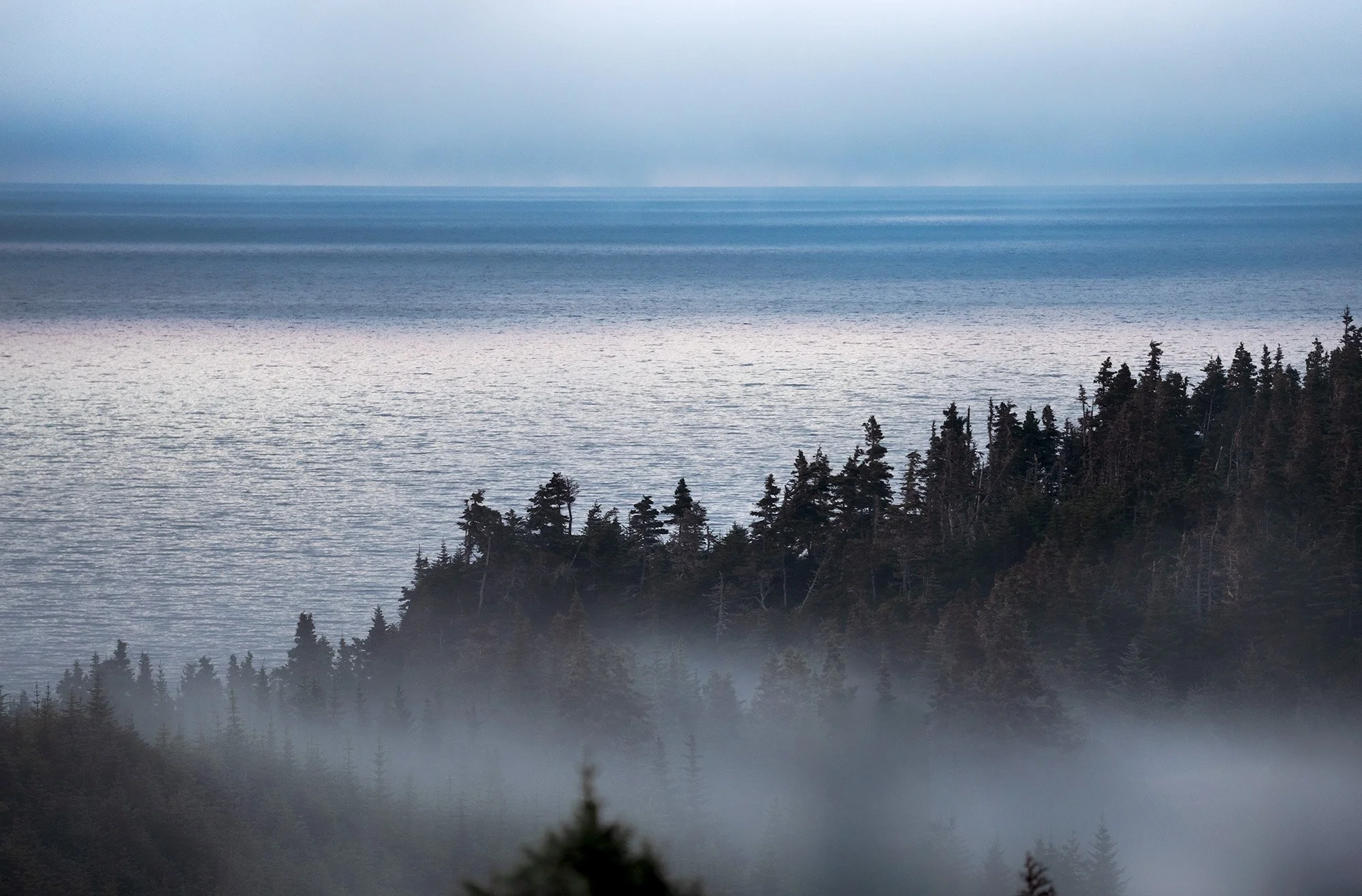 Port Rexton NL.jpg