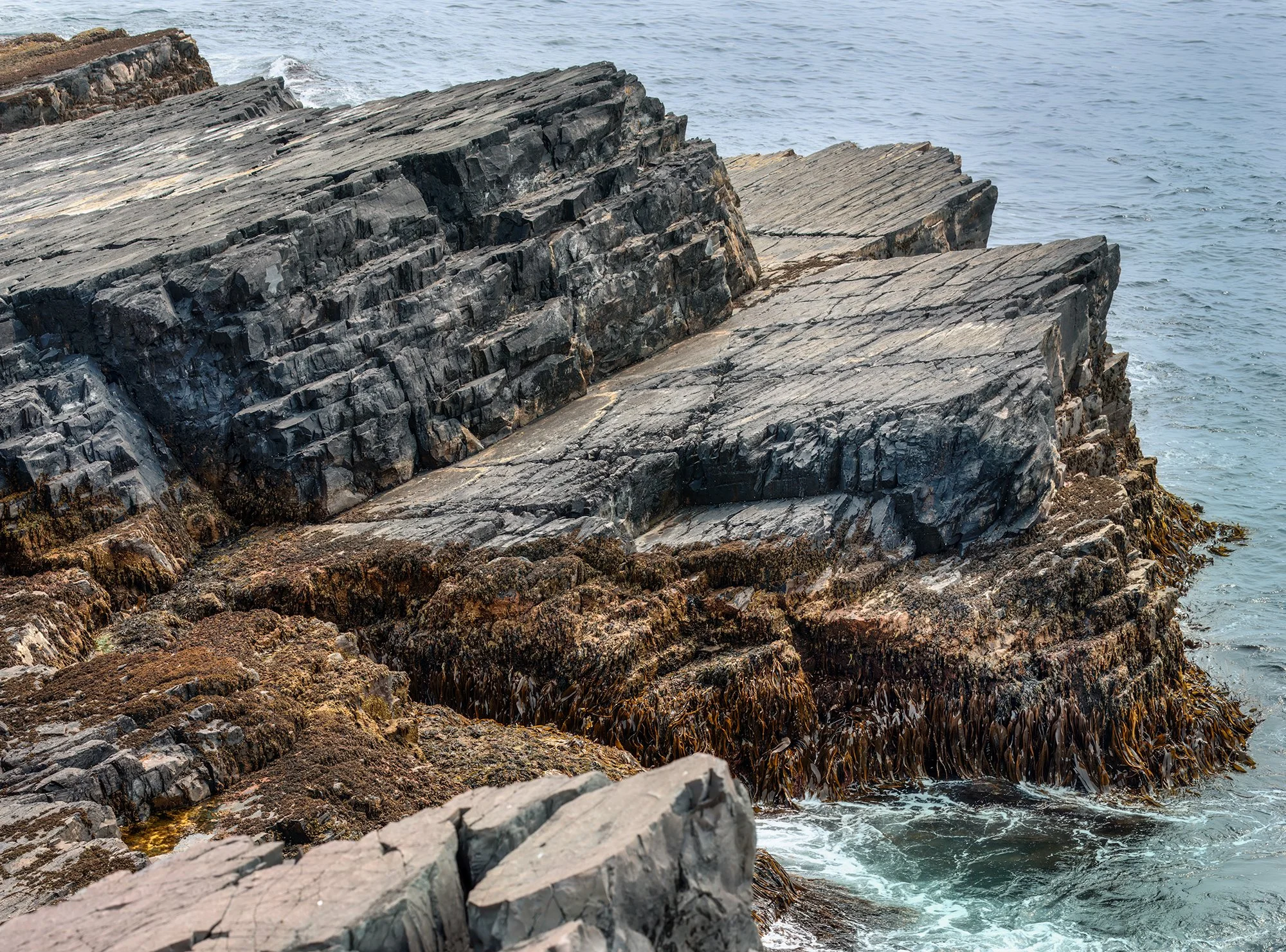 Mistaken Point 