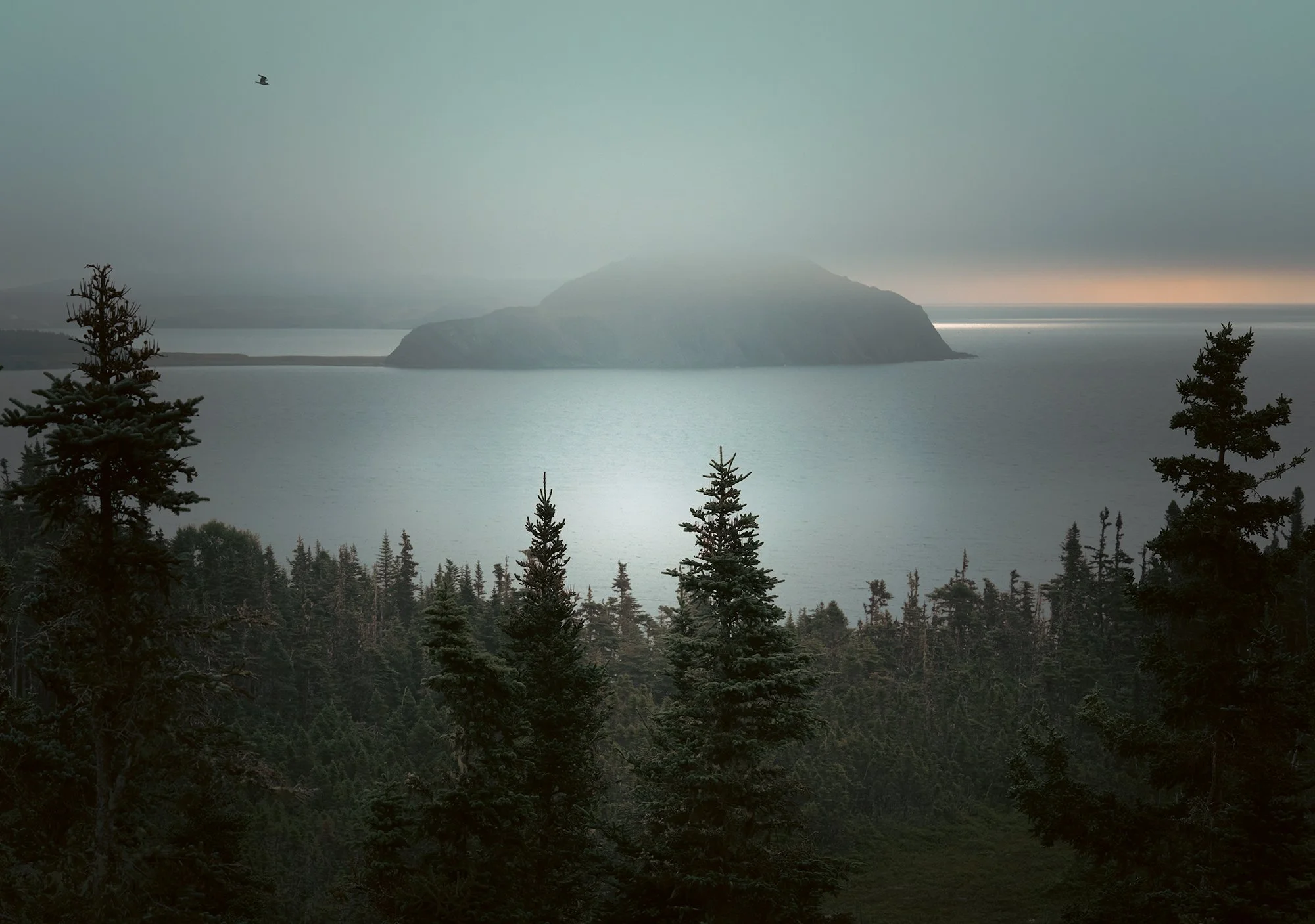 Port Rexton morning view.jpg