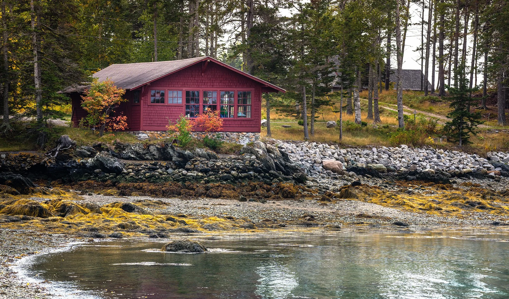 Sylvester's Cove