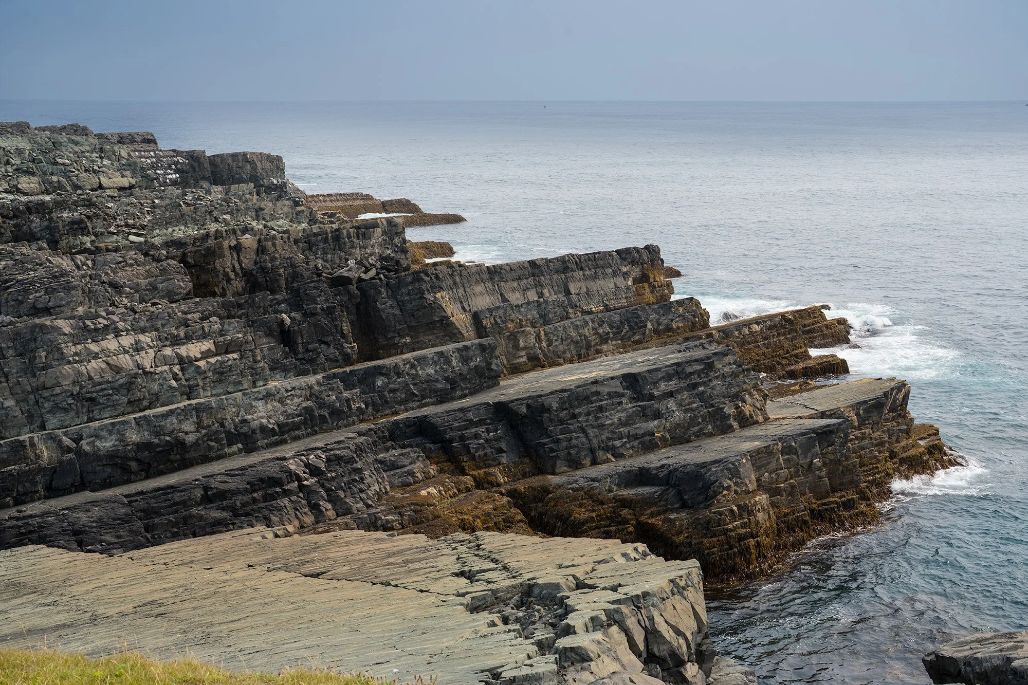 Mistaken Point redo.jpg