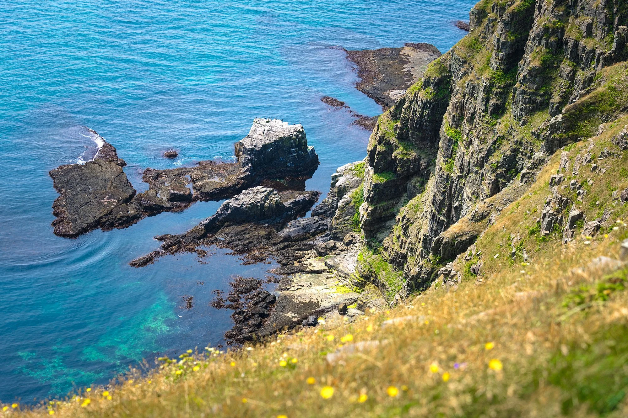 St. Mary's Ecological Reserve 