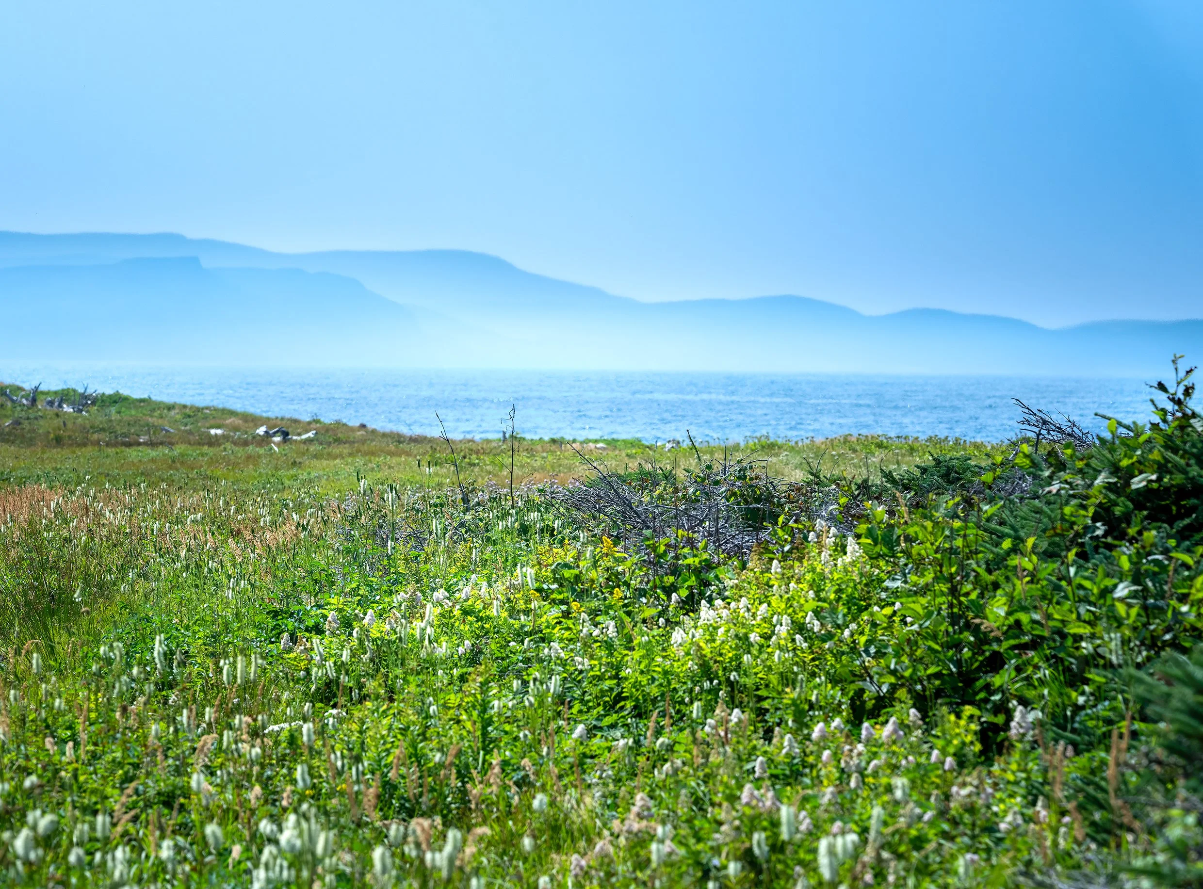 Coastal Trail.jpg