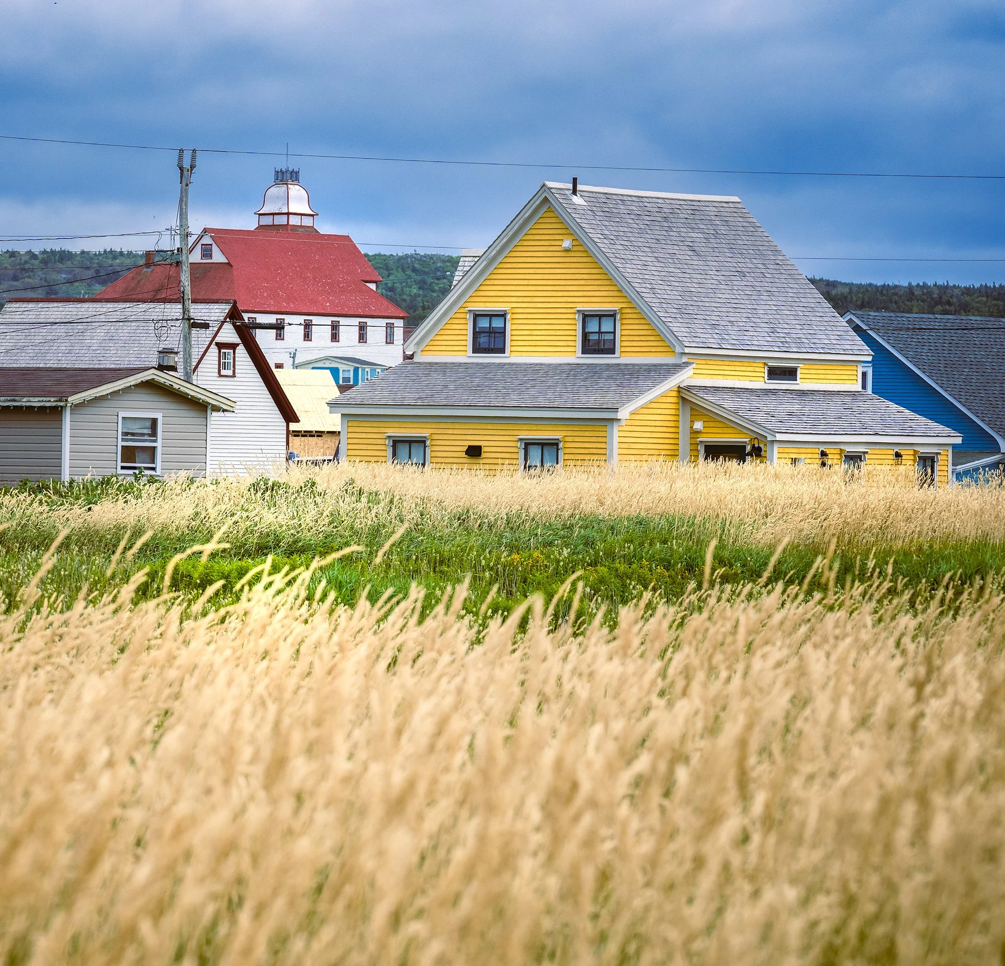 Bonavista houses.jpg