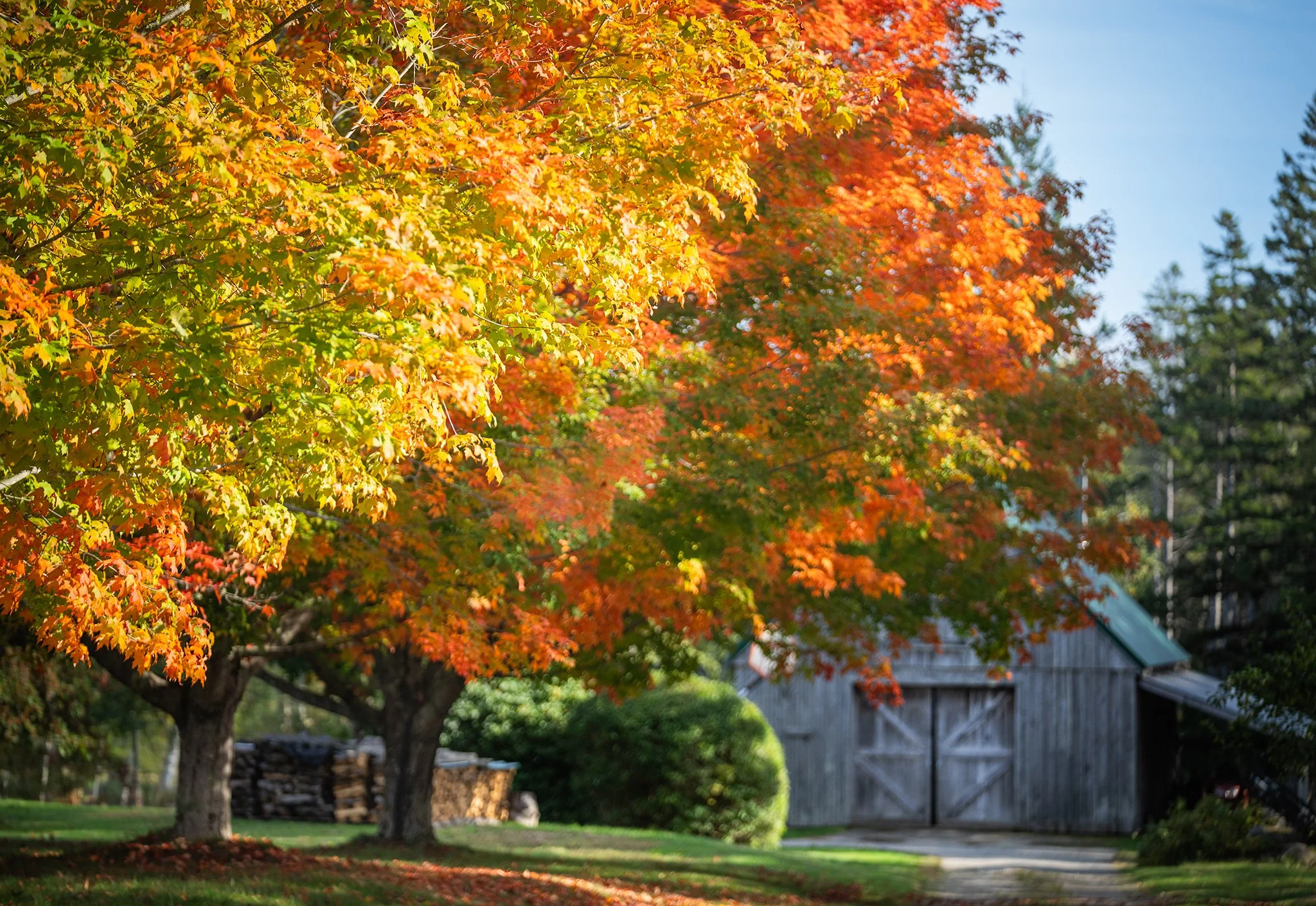 Deer Isle Autumn FB .jpg