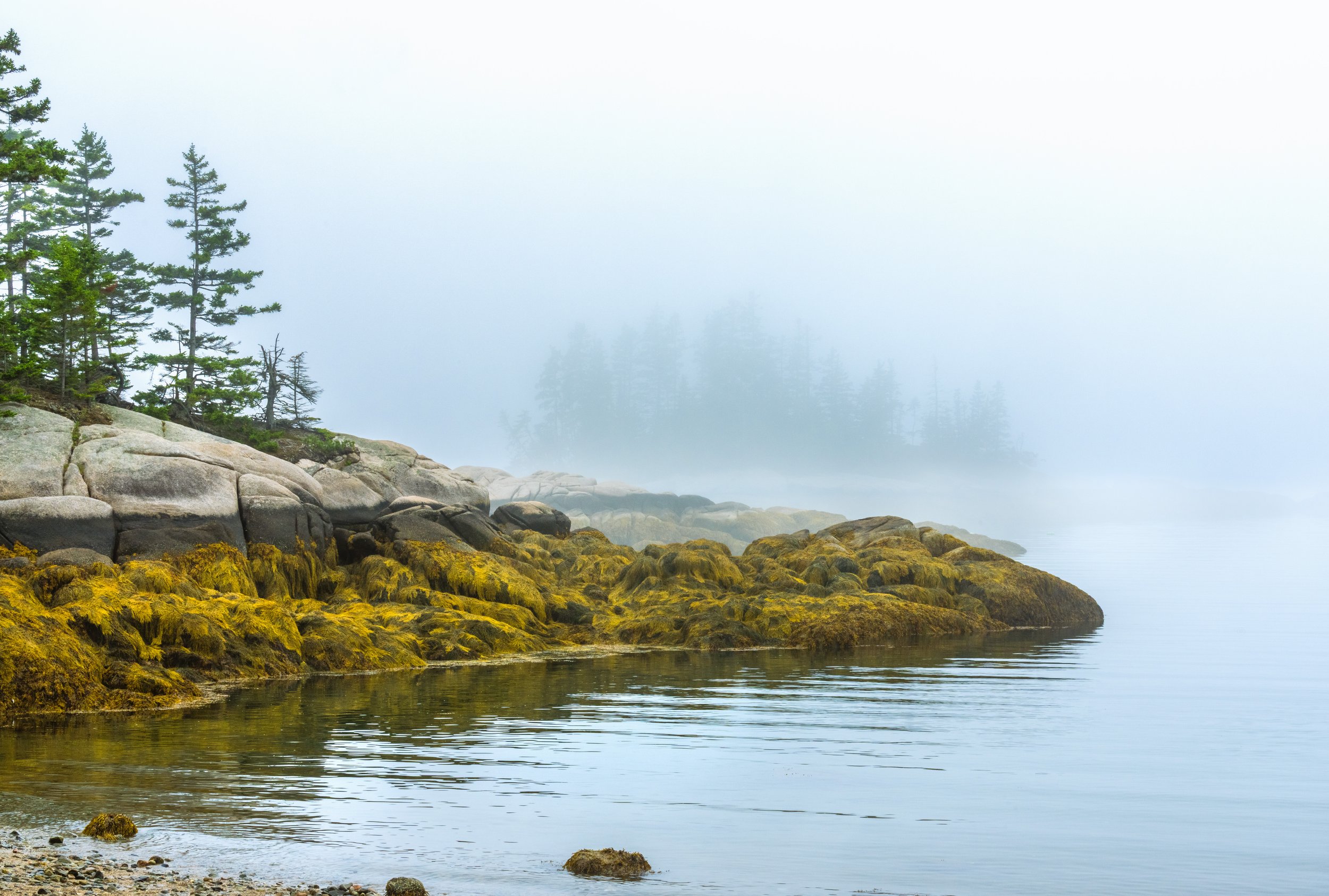 Sand Beach August fog FB.jpg