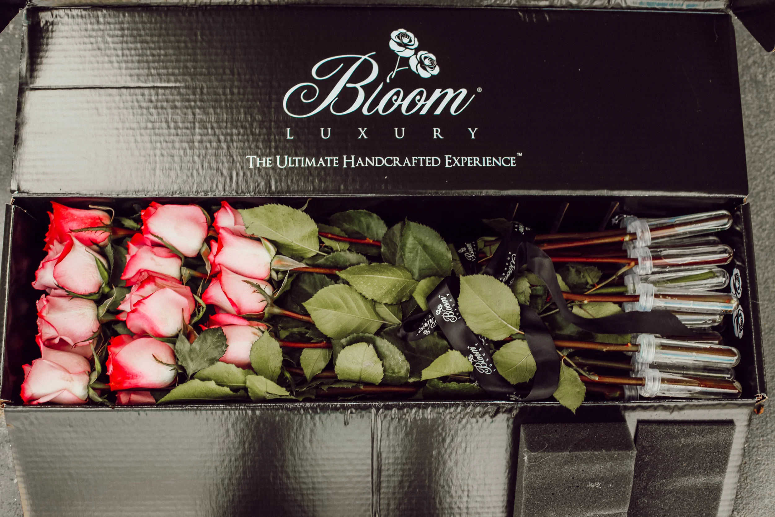 BloomLuxuryandLampley.jpg