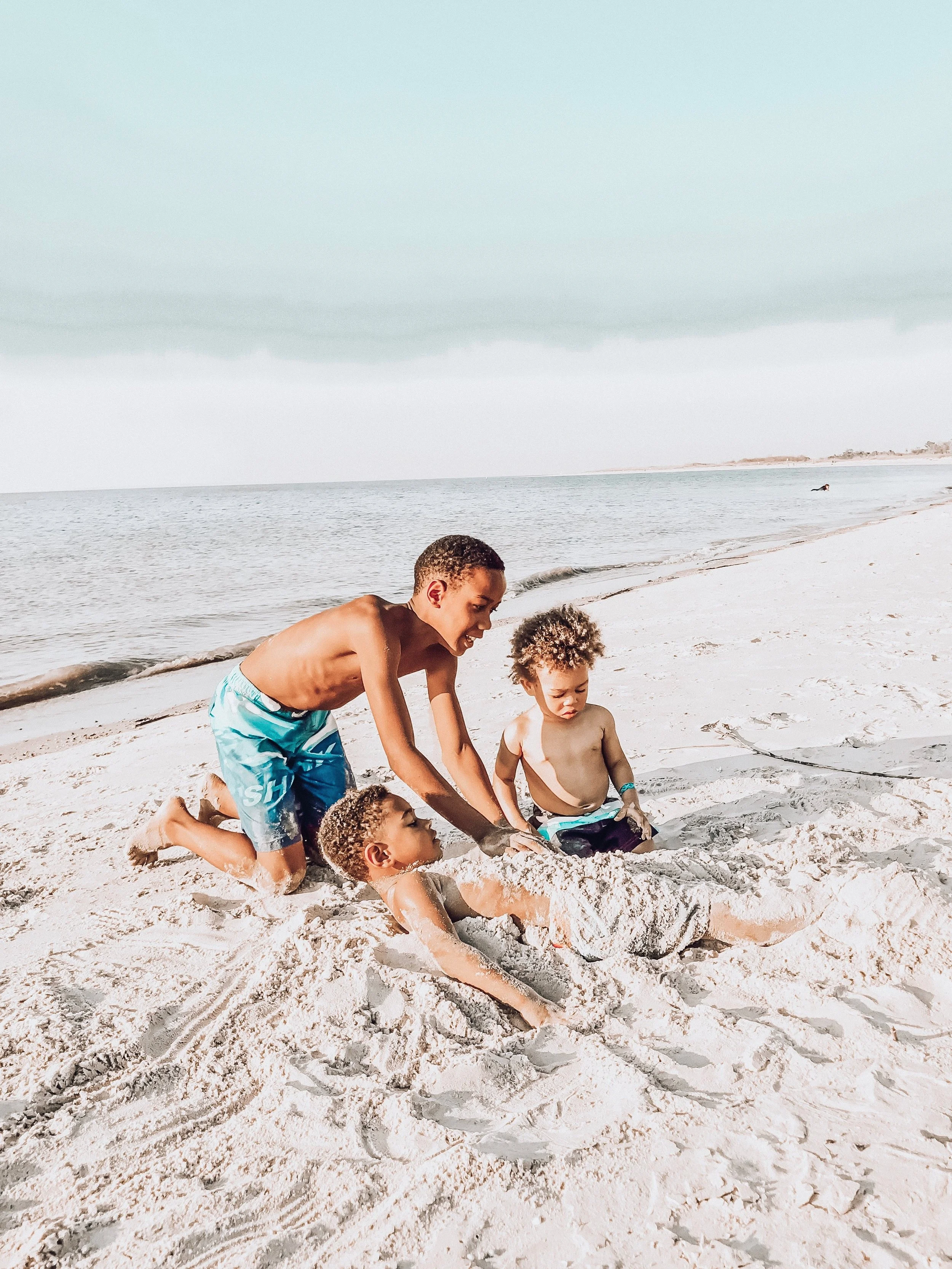 lampleysintybeeisland.jpg