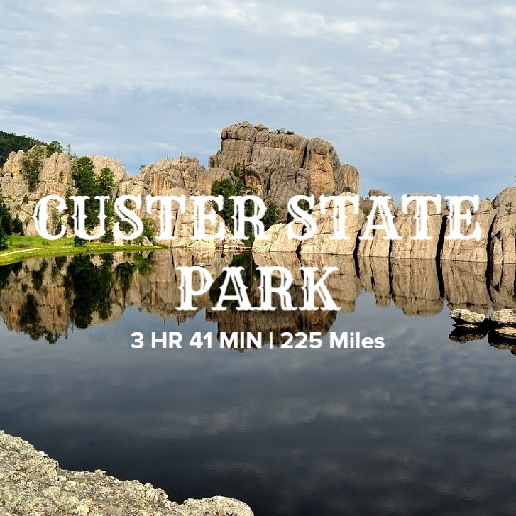 Custer State Park_email.jpg