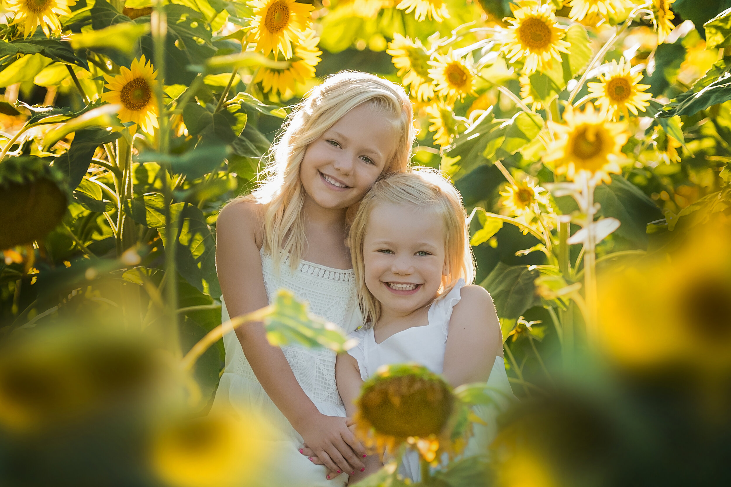 Miklo Sunflowers 8.jpg