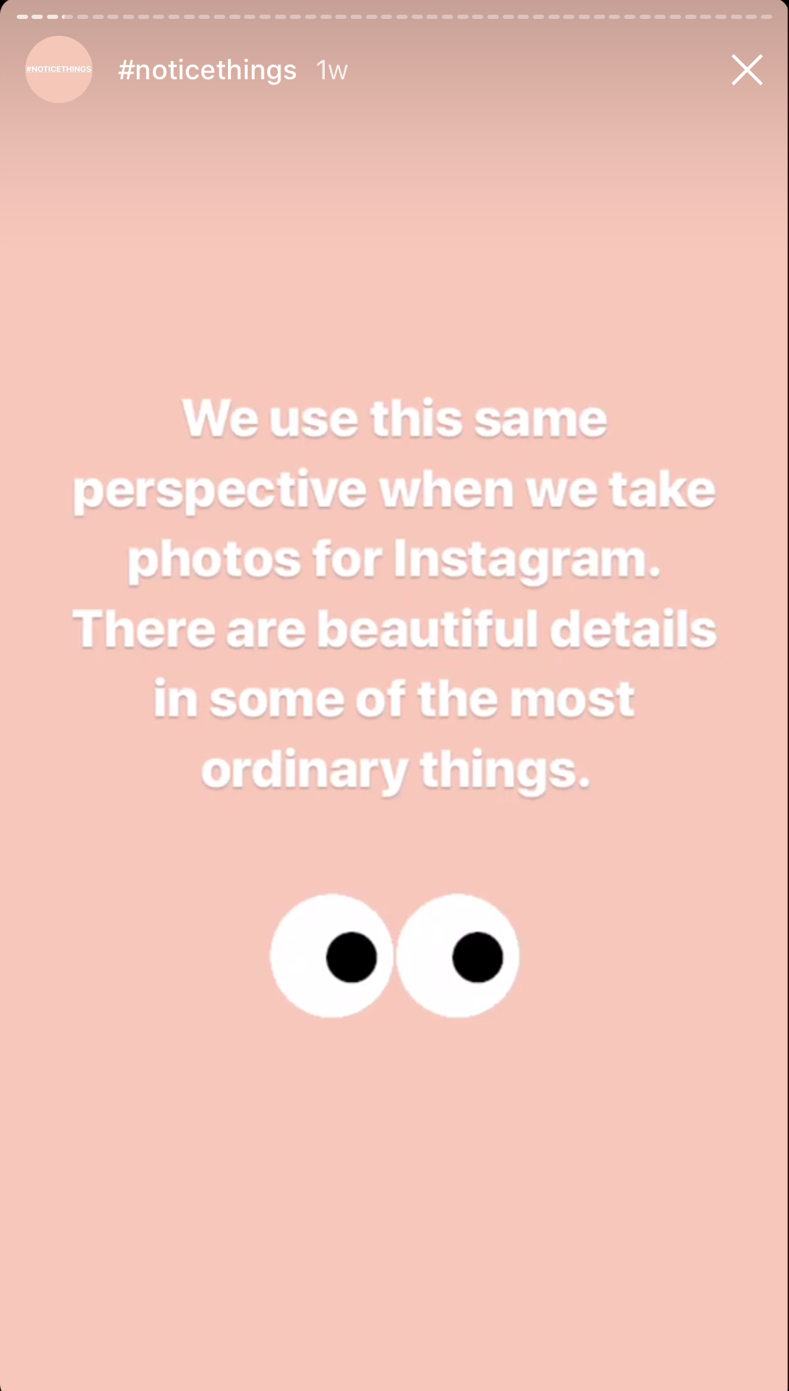 IMG_7665.PNG