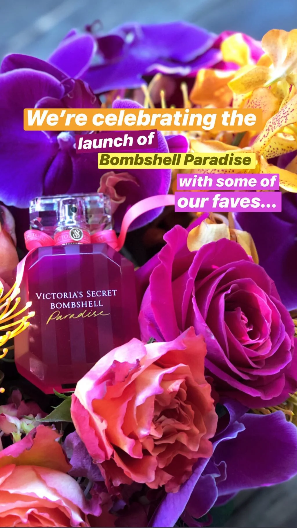 3A75F4D2-4F08-4B3D-BE2E-BBCF593E2434 2.JPG