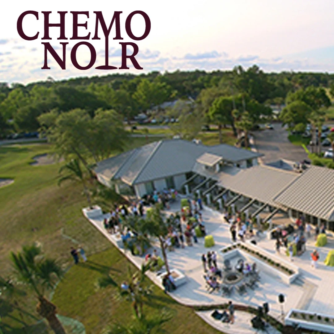 The 2019 Chemo Noir Fall Gala