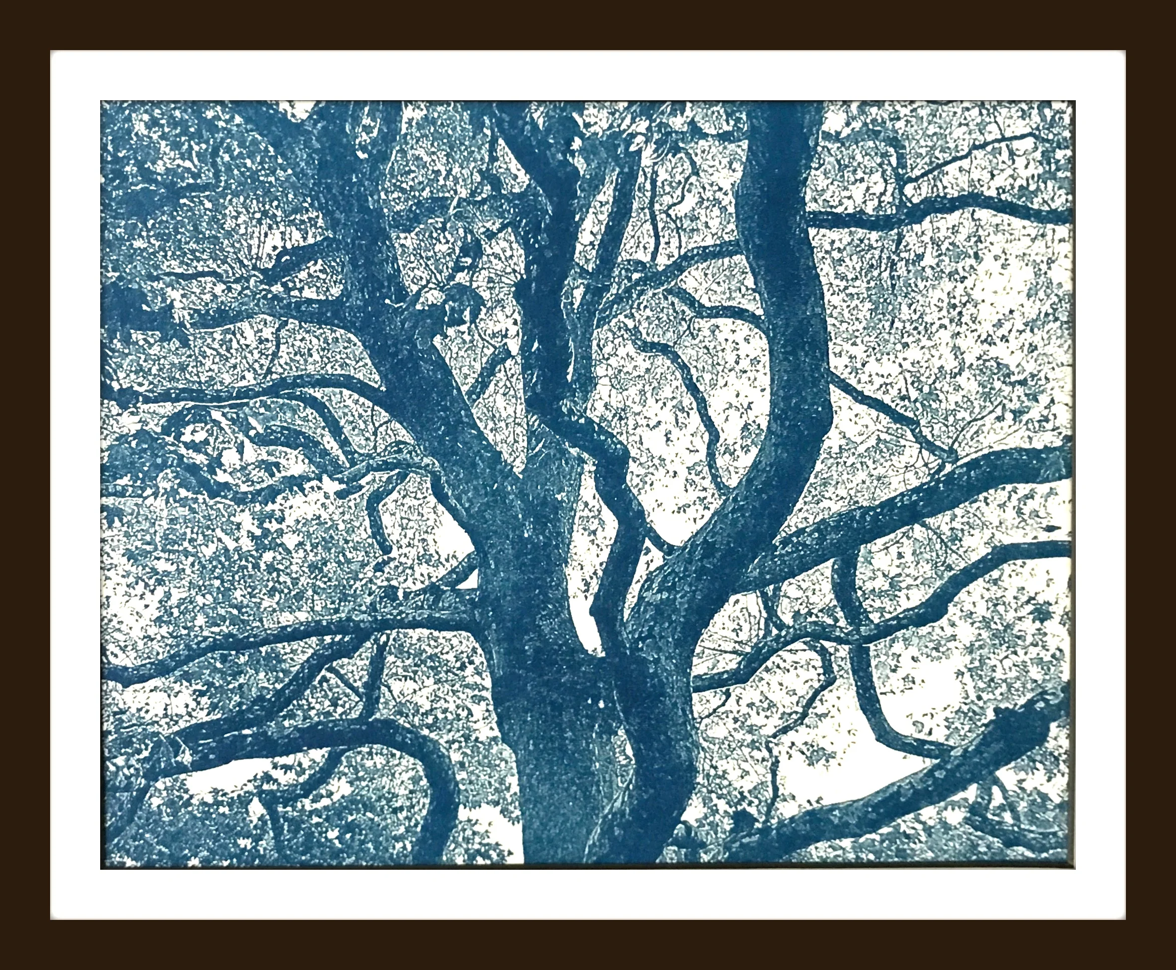 SavannahtreeWEB.jpg