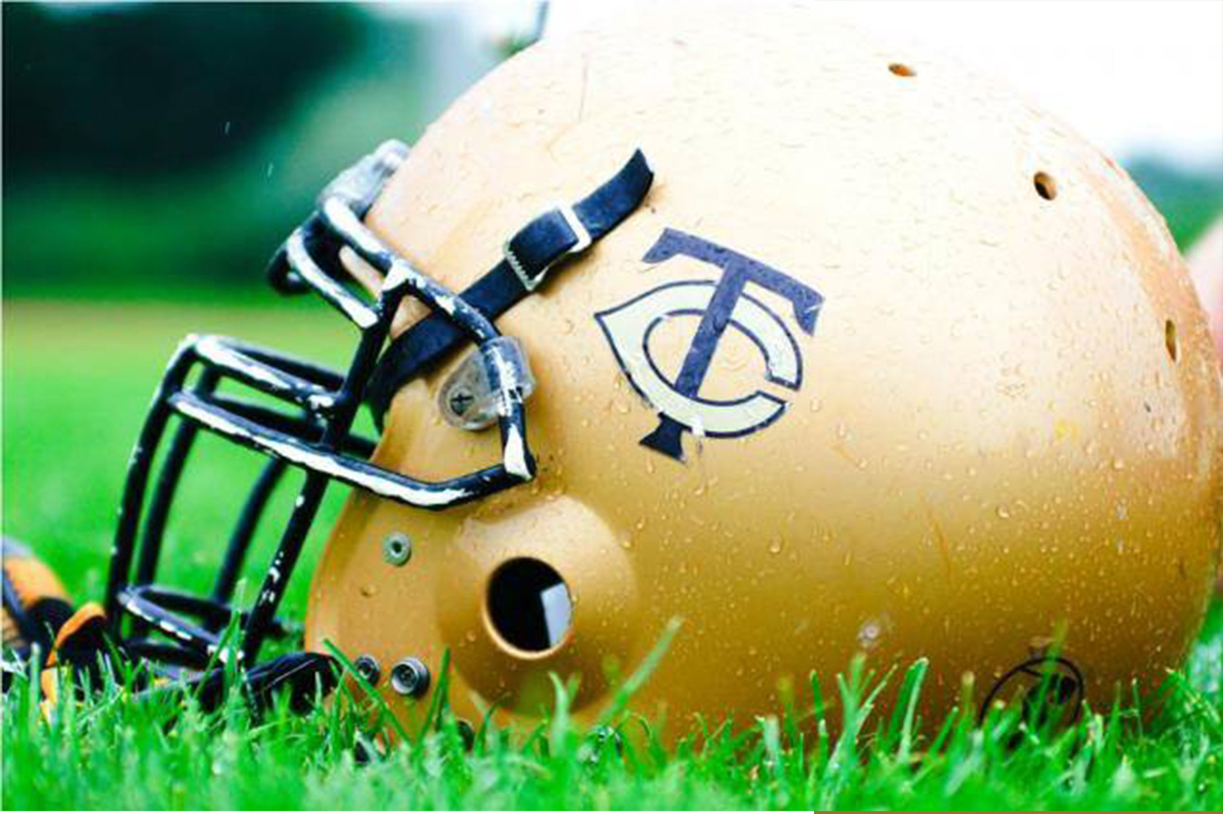 Step 11: NFC Championship at GTA All-Stars