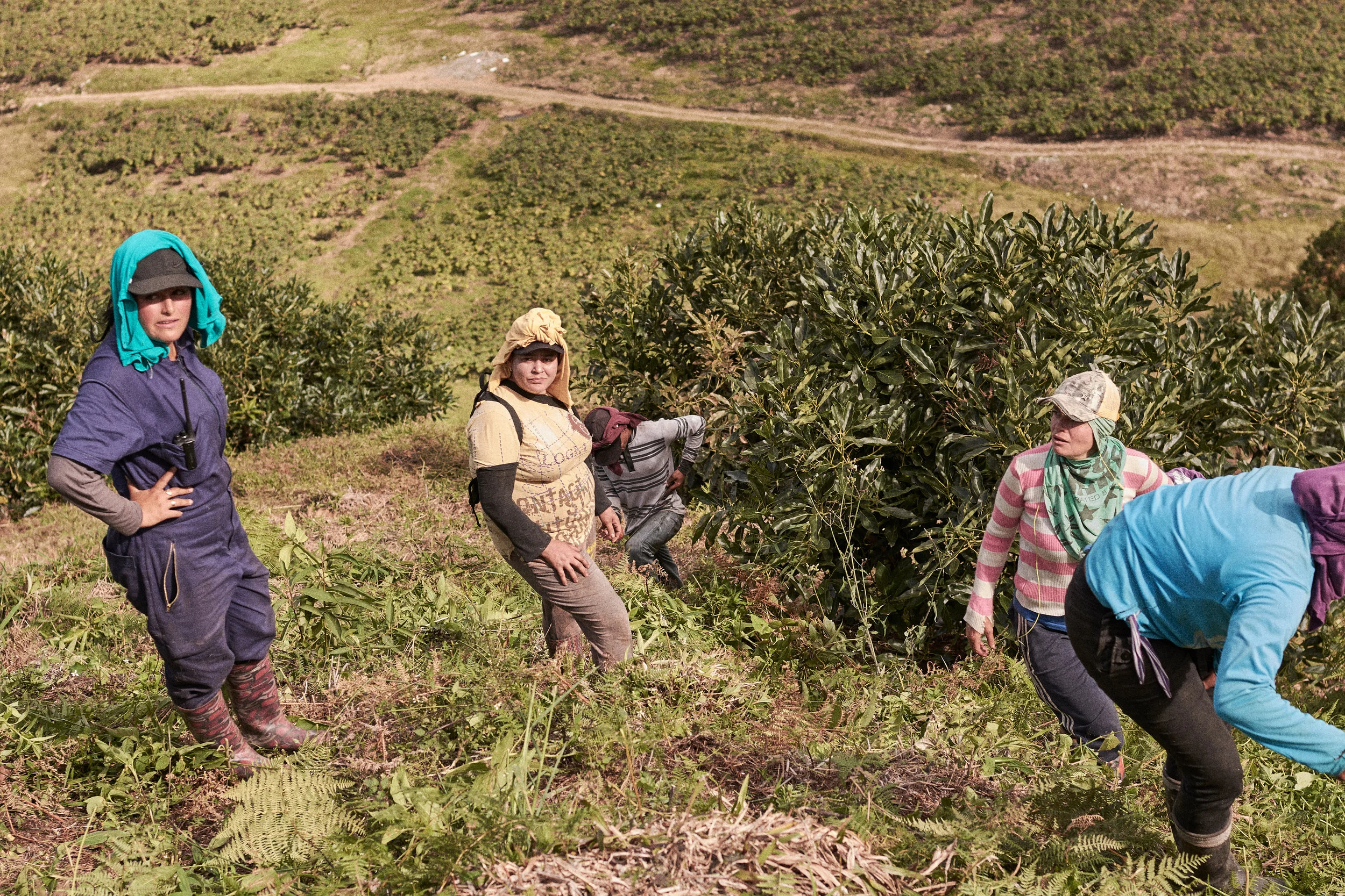 Finca Gomez
