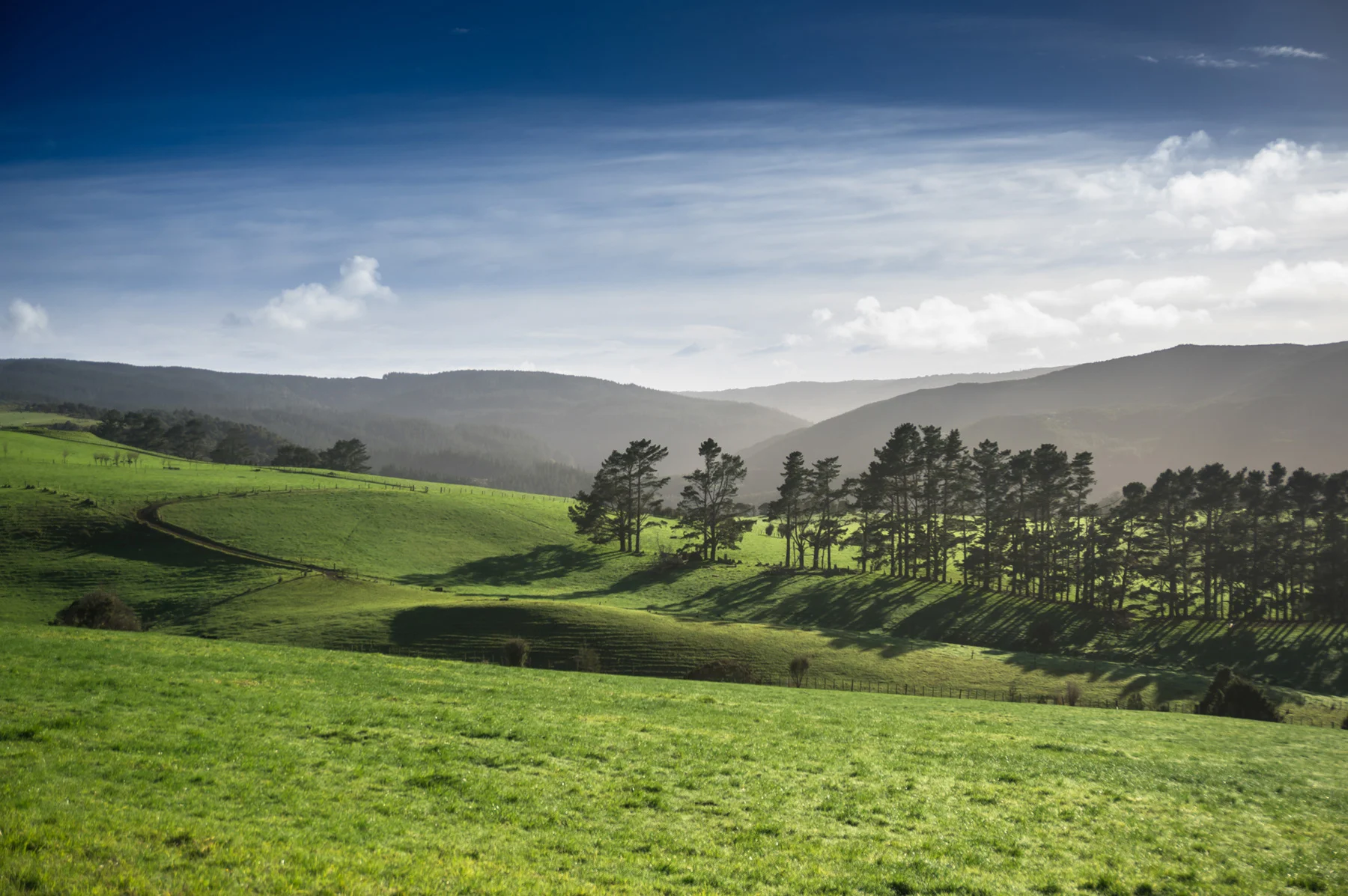 Find out about Our legal services Click Here