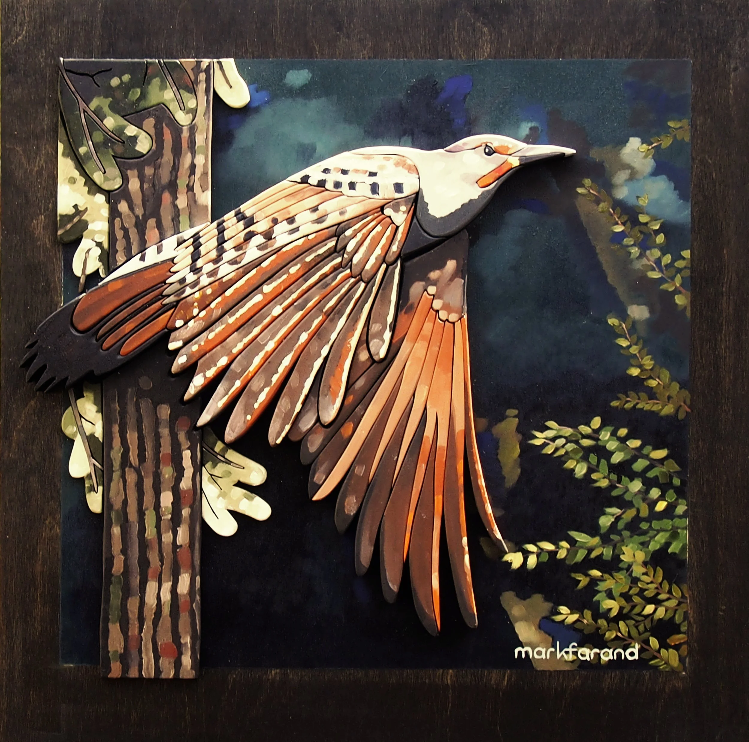 Northern Flicker
