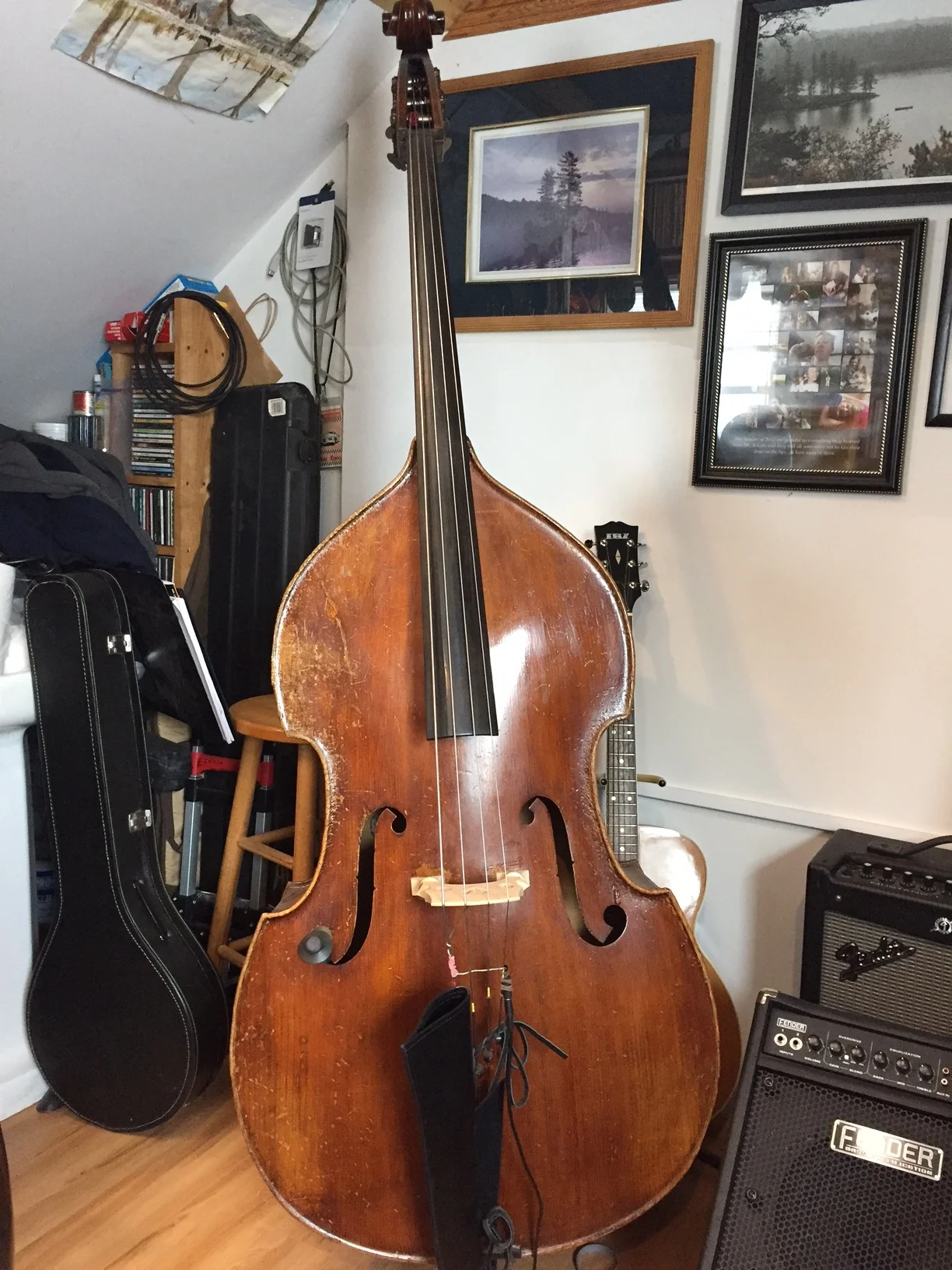Juzek String Bass 3/4    $4,500+tax