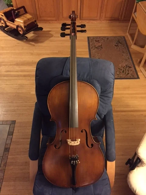 5 String with low F string  $799+tax