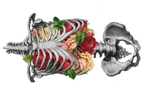 Anatomy of Breath.jpg