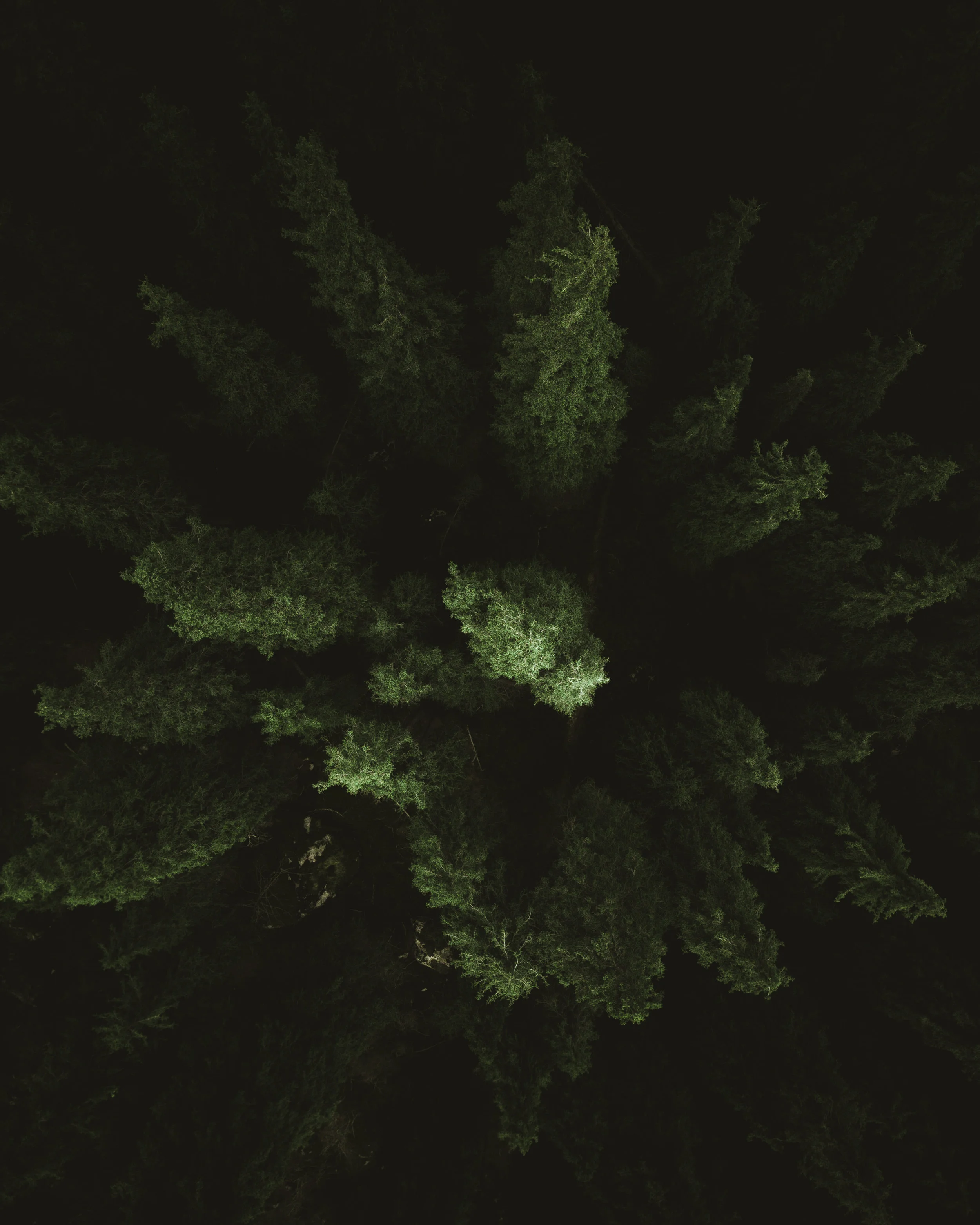 DJI_0118.jpg
