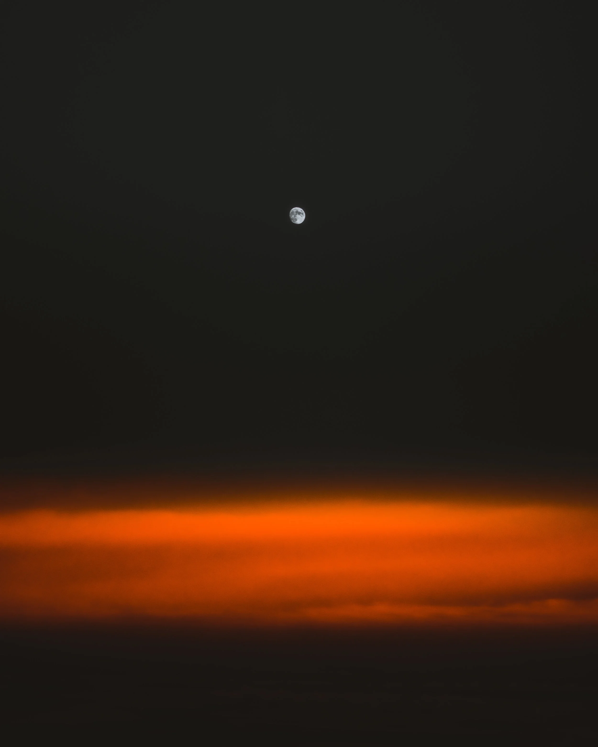 DSC03014.jpg