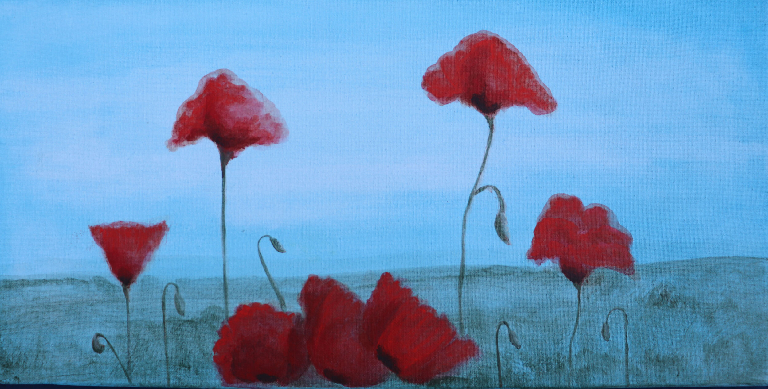 PoppyField.jpg