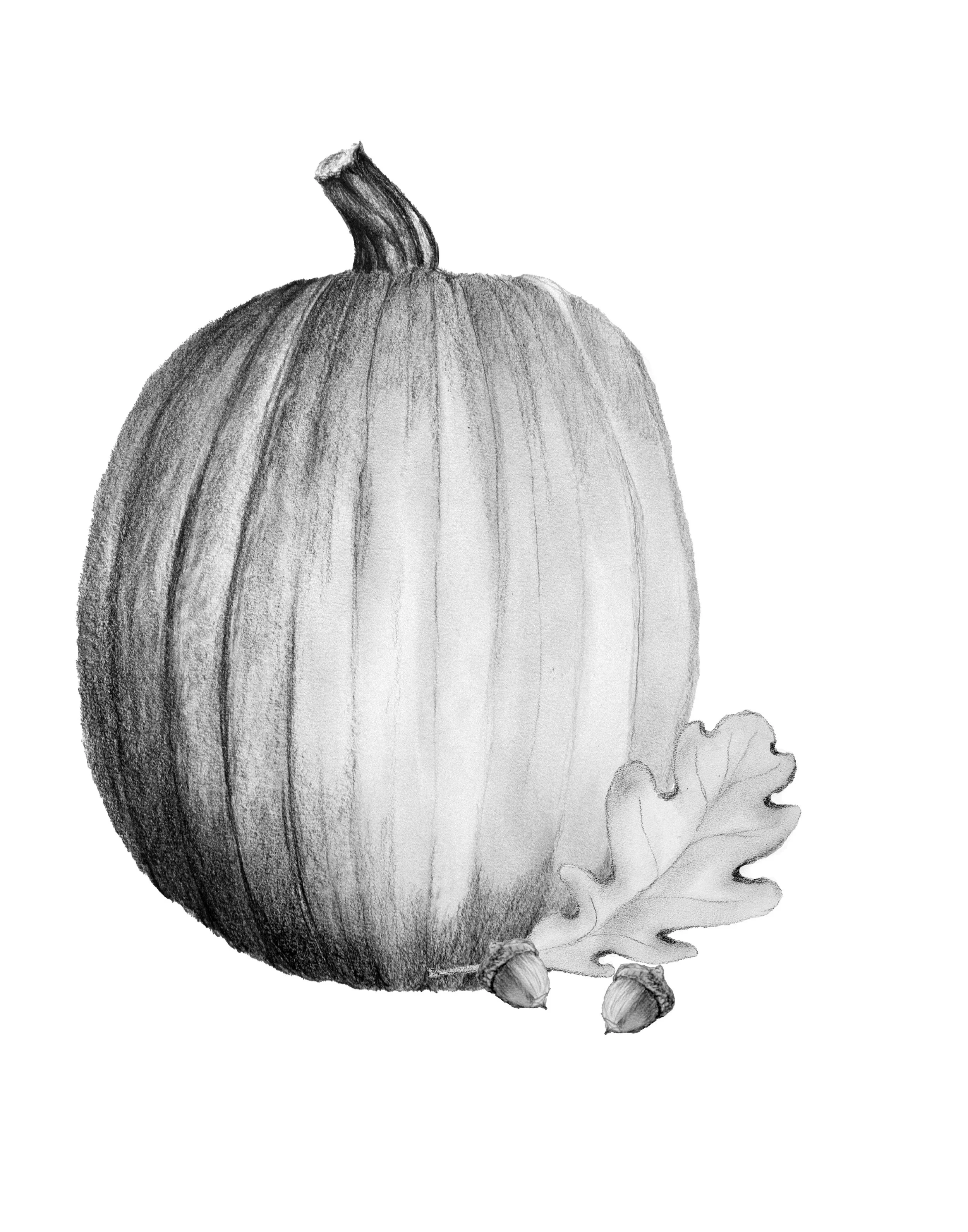 Fall.jpg