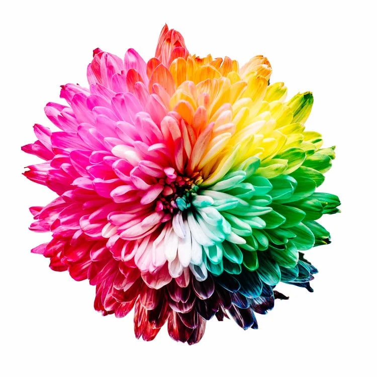 image-asset (4)-min.jpeg